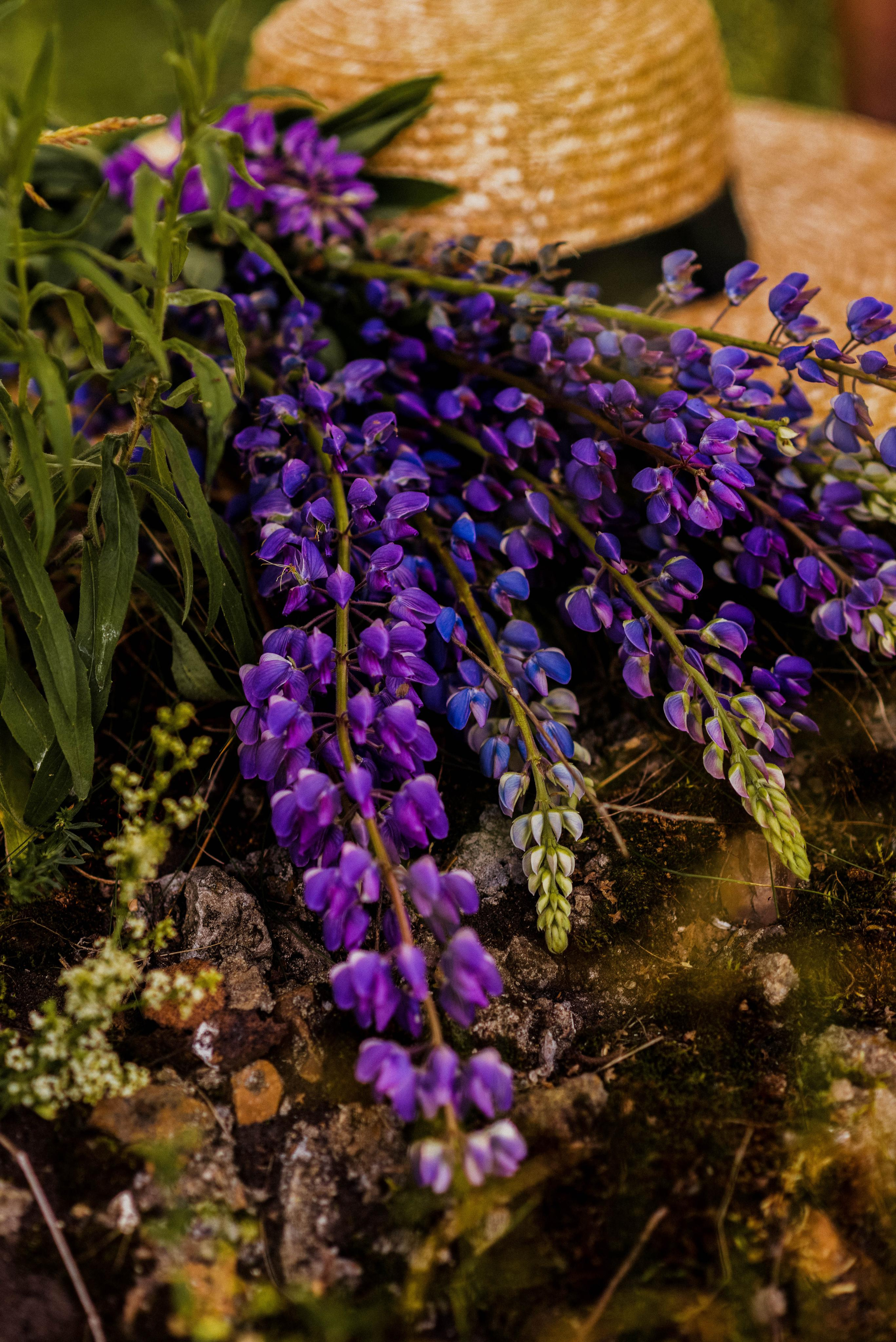 Полина в люпинах. Свадебный фотограф в Москве Анна Полушина