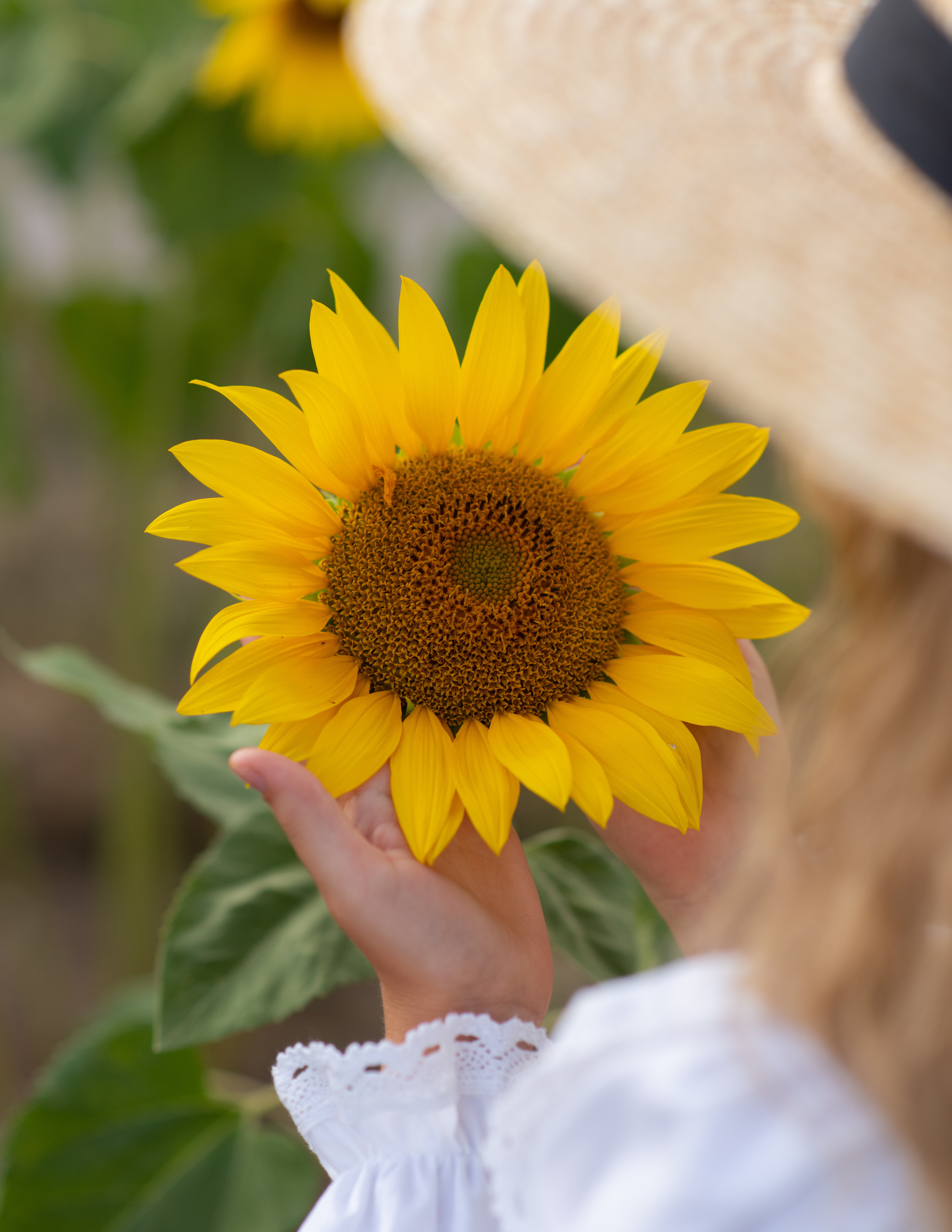 Семейная фотосессия в студии в Москве, семейный фотограф Анна Полушина. Свадебный фотограф в Москве Анна Полушина