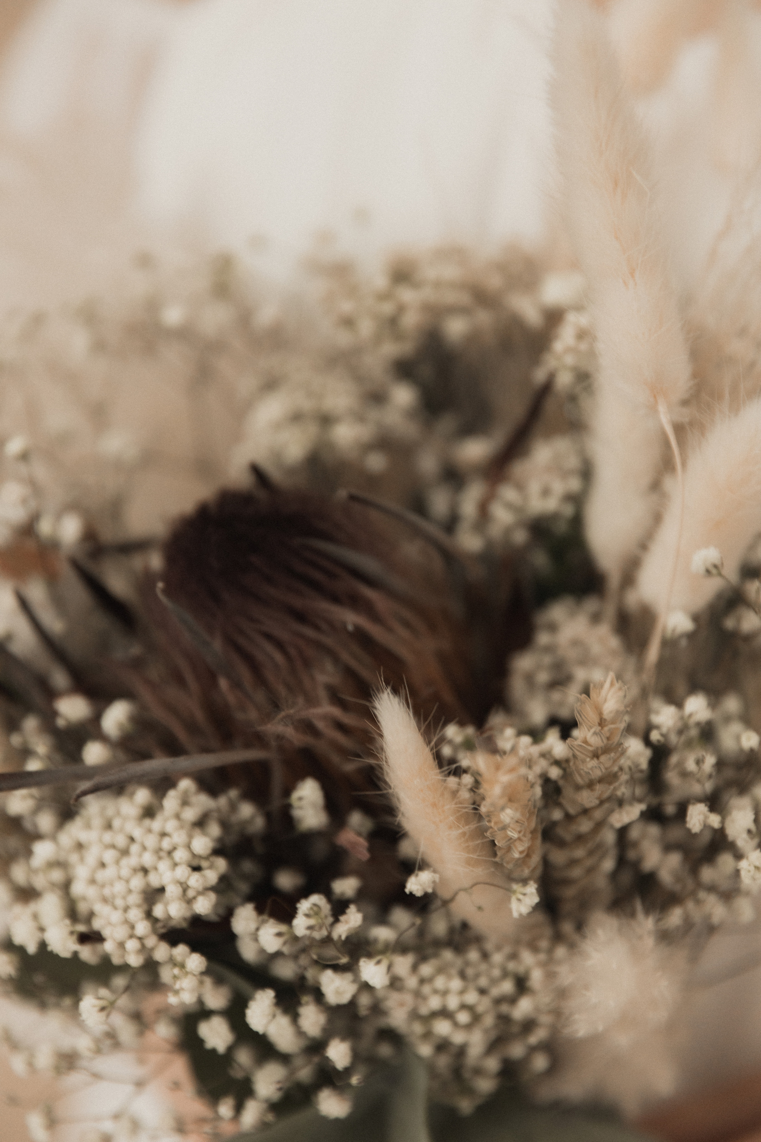 Екатерина и Артем. Семейный и свадебный фотограф Лилия Матонина | Ангарск, Иркутск, Усолье-Сибирское, Байкал (Листвянка, Ольхон), Иркутская область