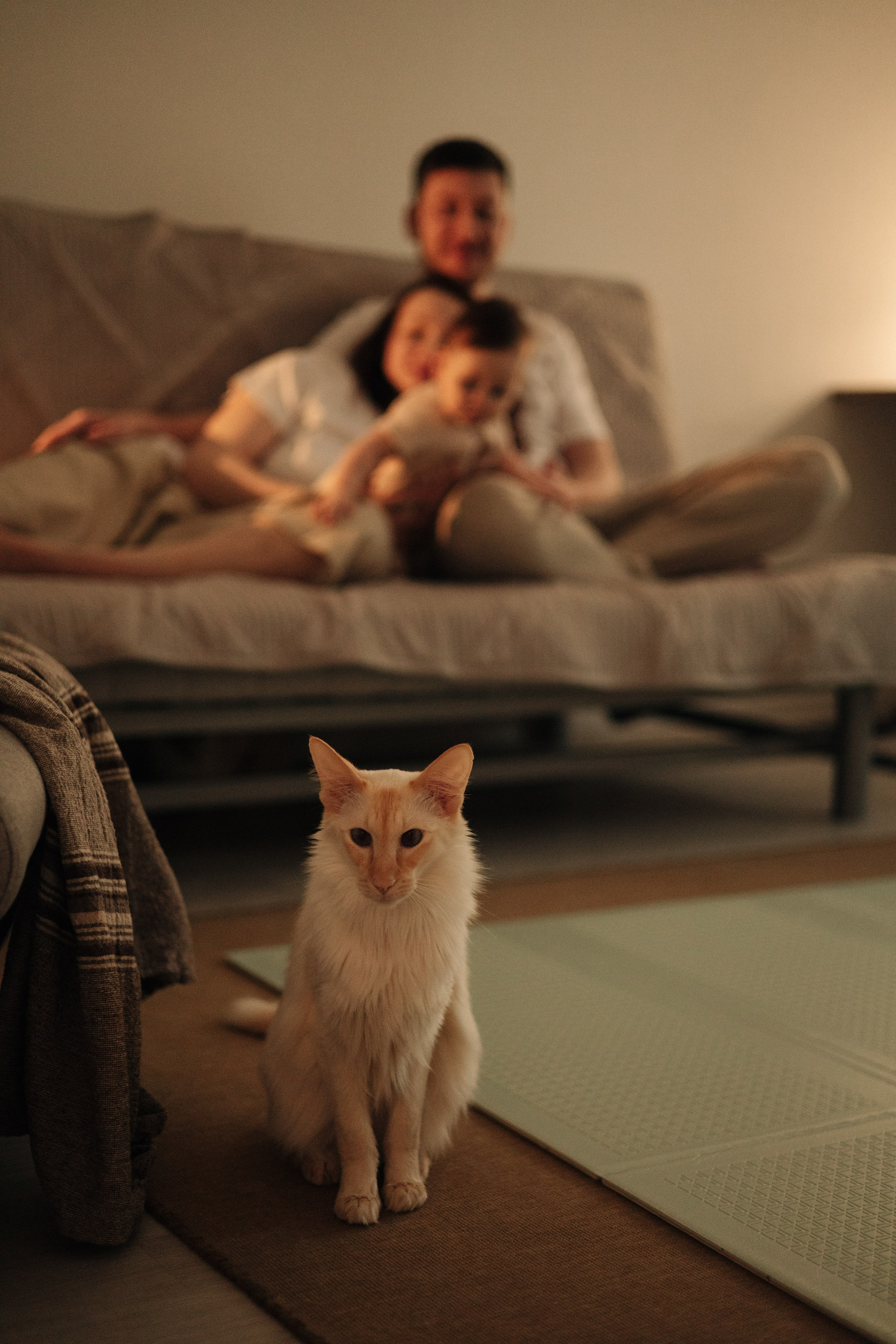 Галя, Паша и Василиса