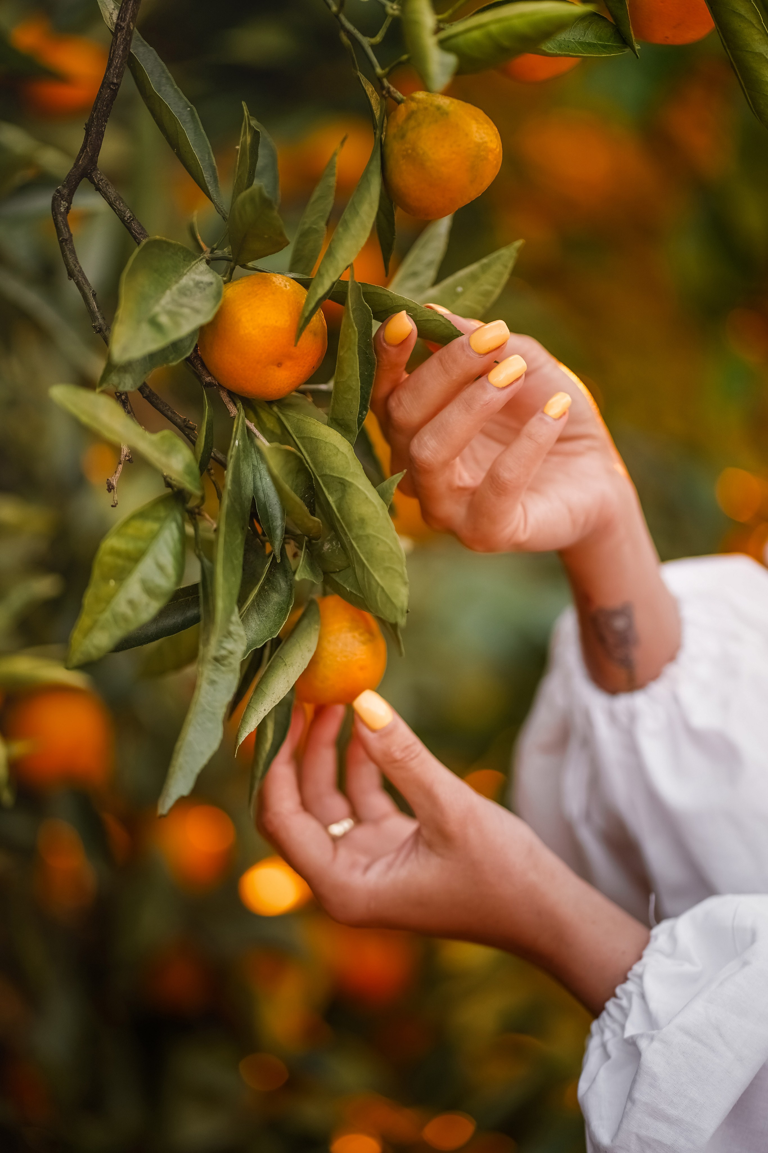 Абхазия. Выпускной школьный альбом в Орске и Москве — Фотограф Наталья Лаптова