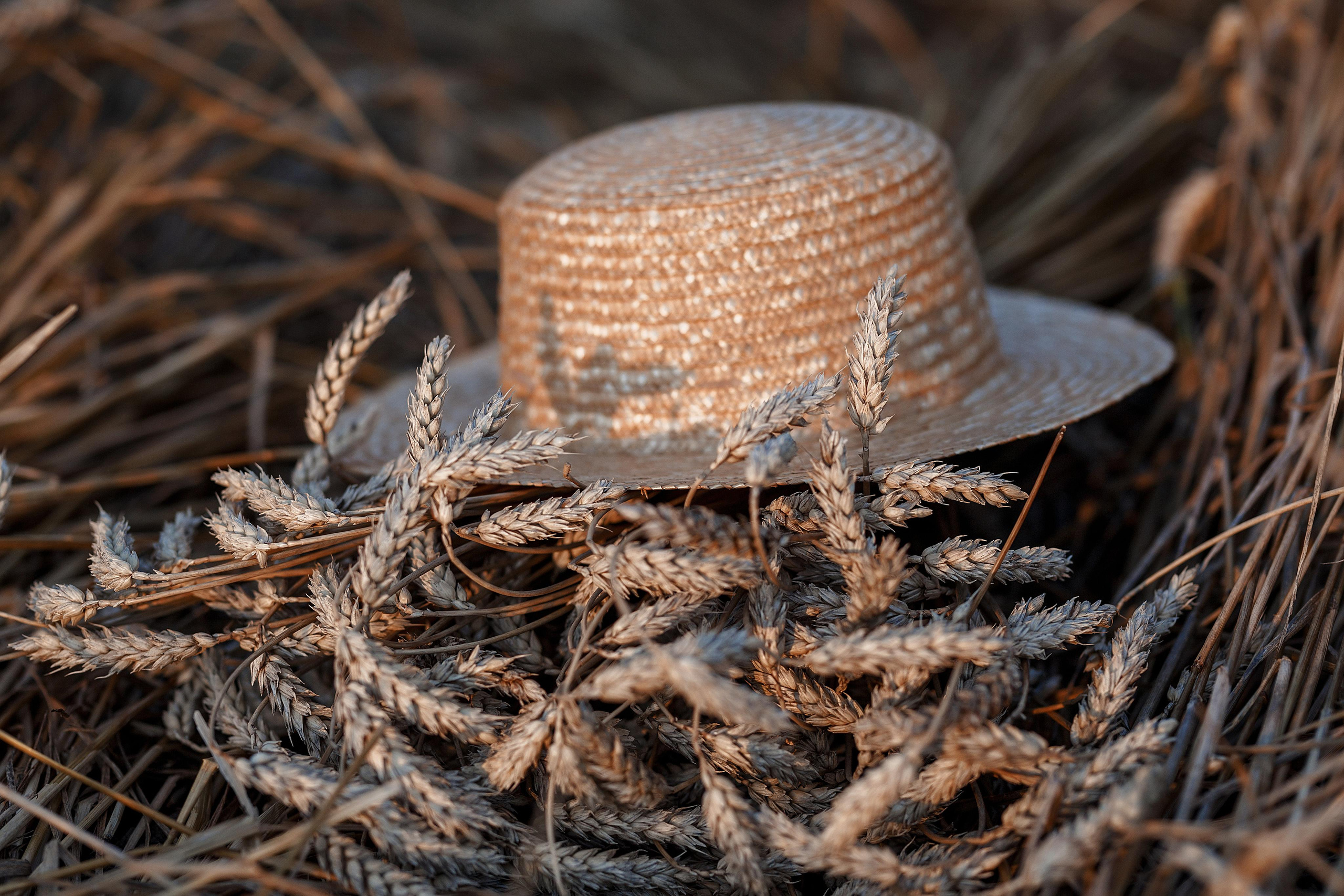ДИАНА. Фотограф Минск Татьяна Ильич
