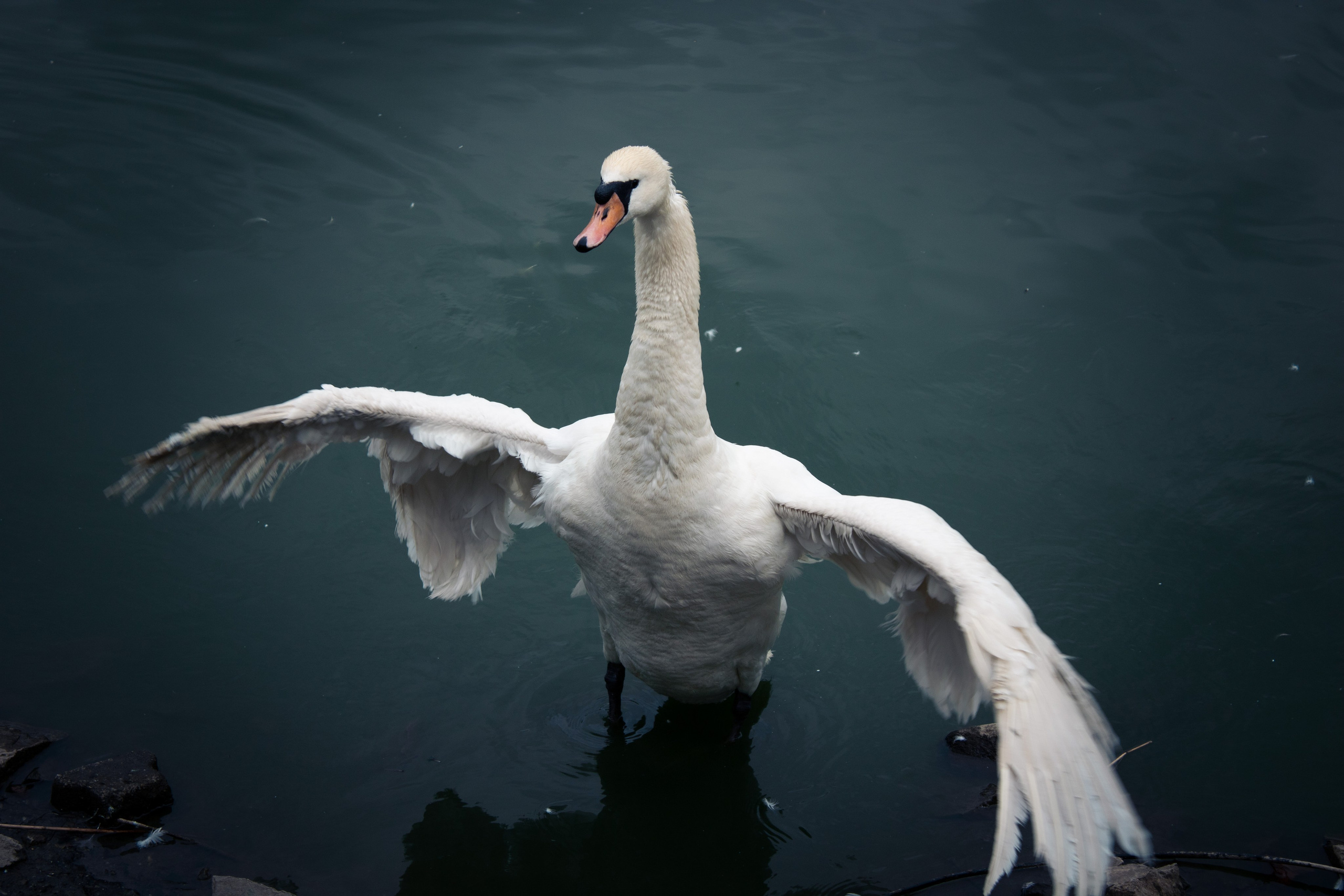 Вдохновение. Бутакова Елена фотограф в Екатеринбурге