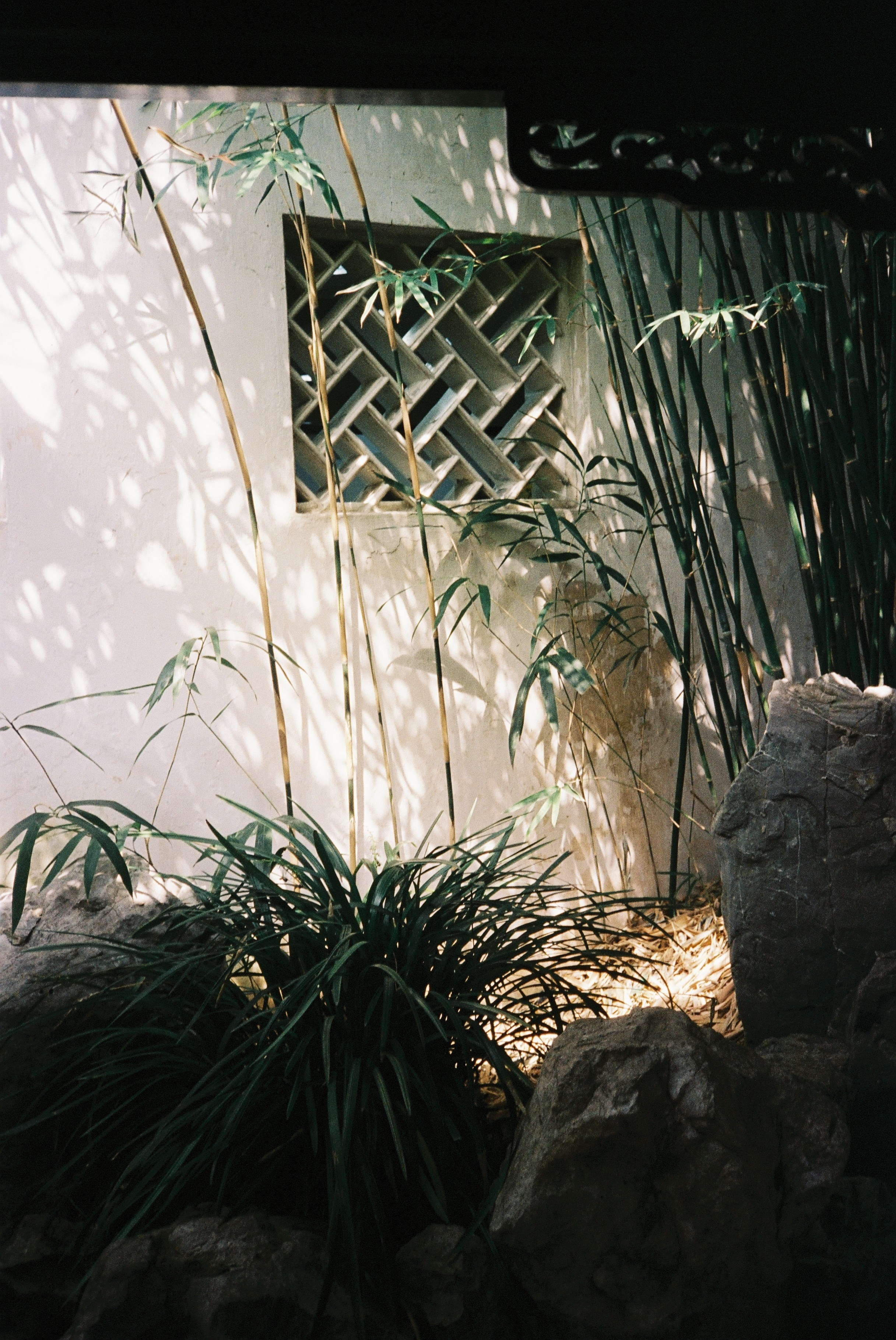 Asia. Olya Filina | Moscow Photographer