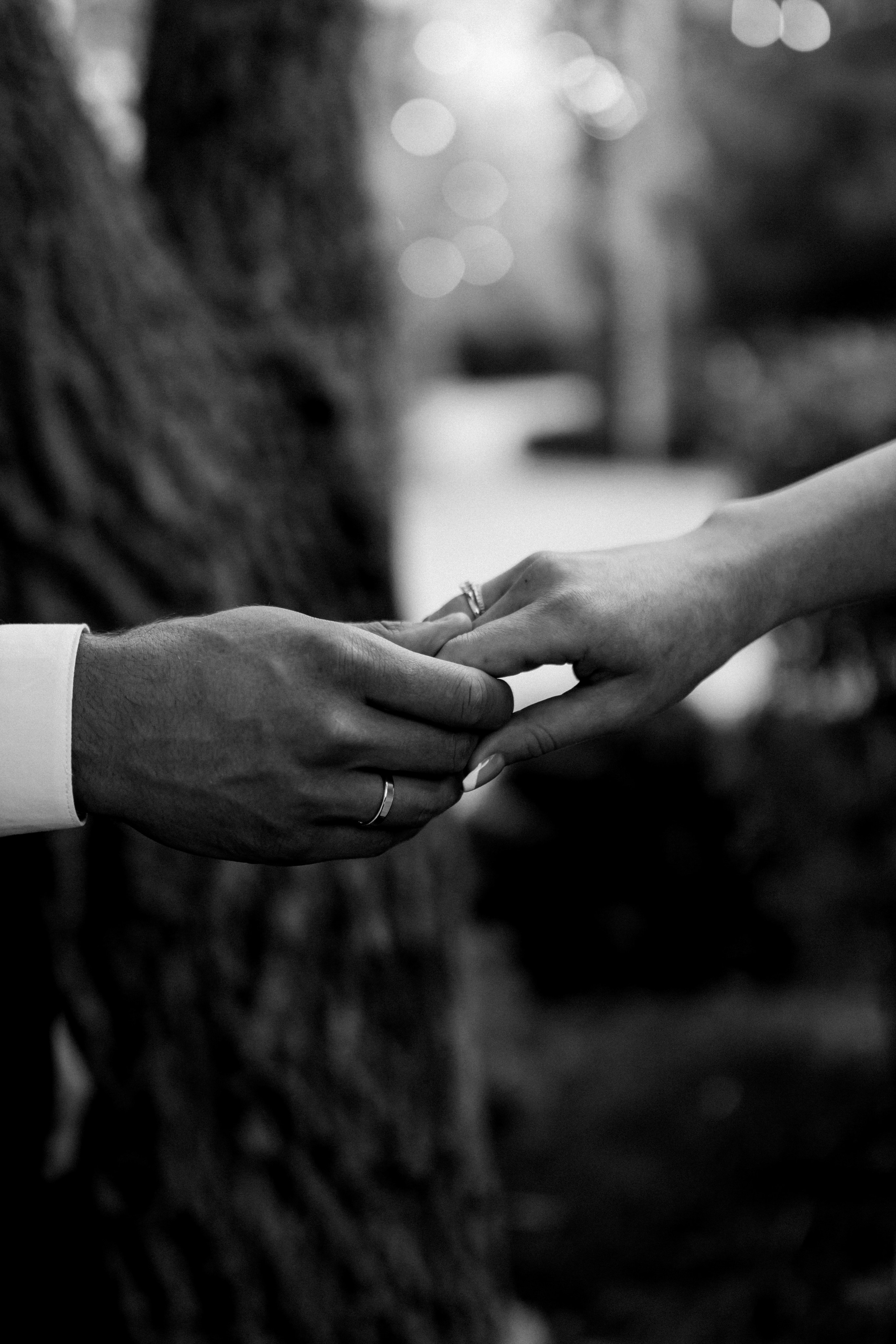 Сергей и Олеся. Фотограф Эдуарда Титанян