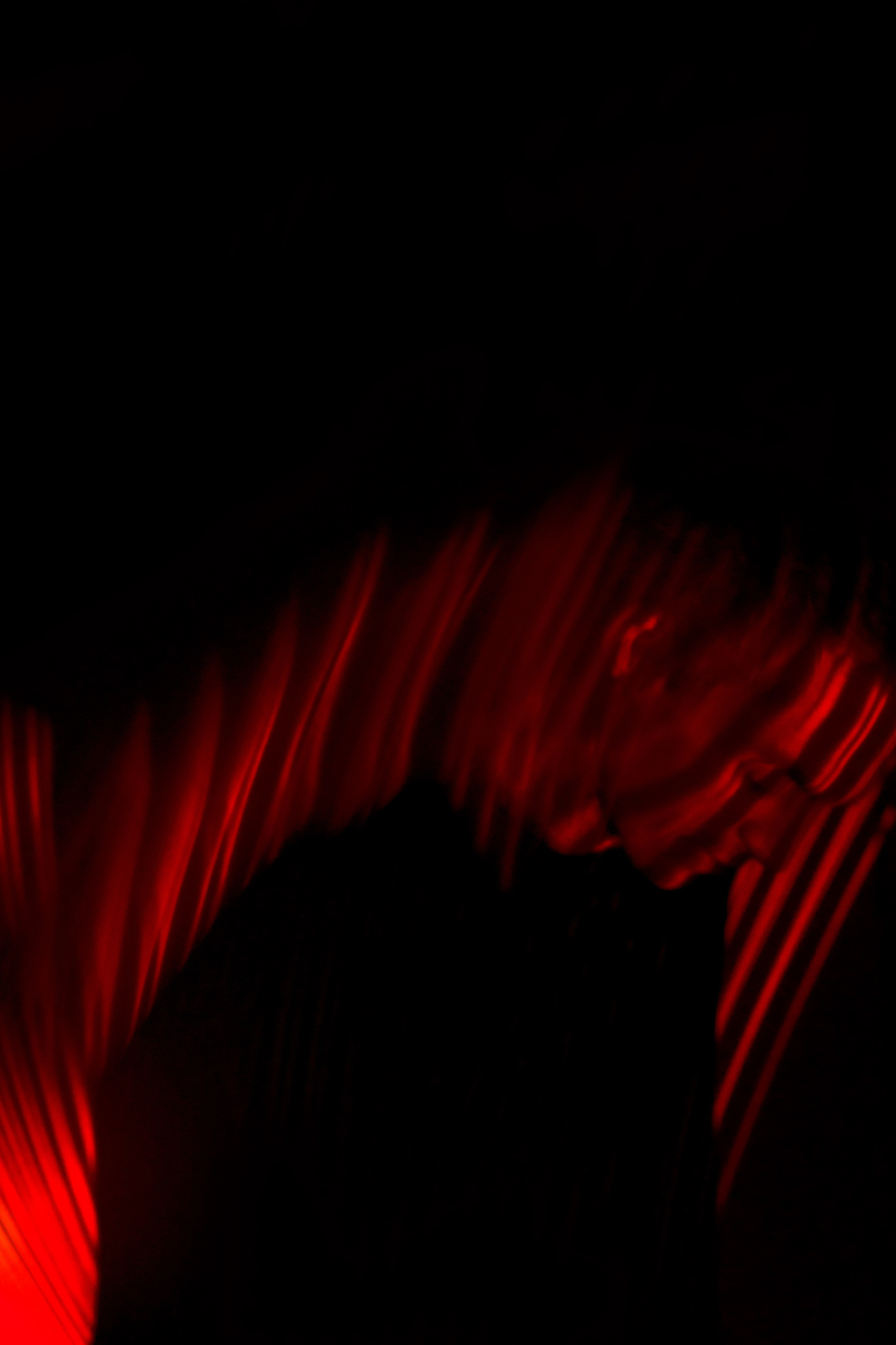 СЕРГЕЙ ИЛЬЧУК. СУЩНОСТНАЯ ФОТОГРАФИЯ