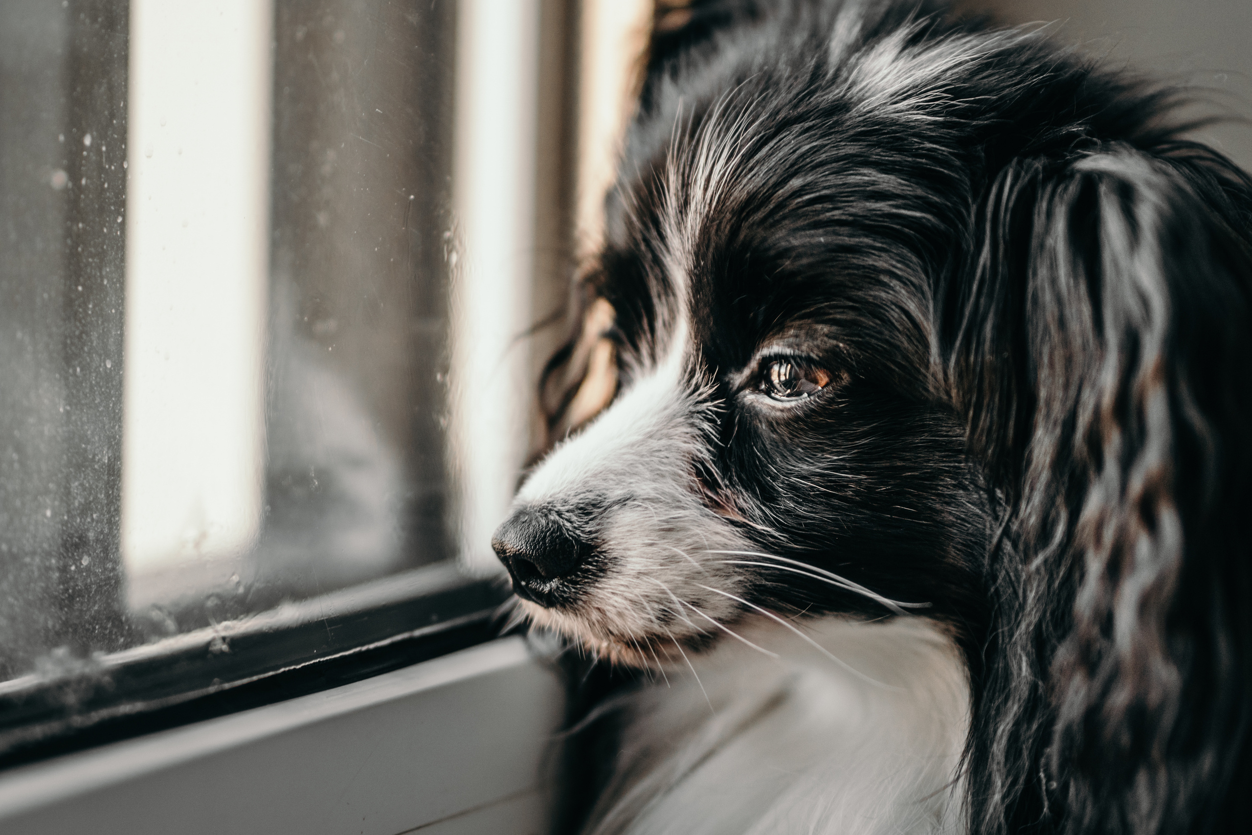 Домашняя фотосессия в Кирове. Семейный и детский фотограф в Санкт-Петербурге Наталья Григорьева