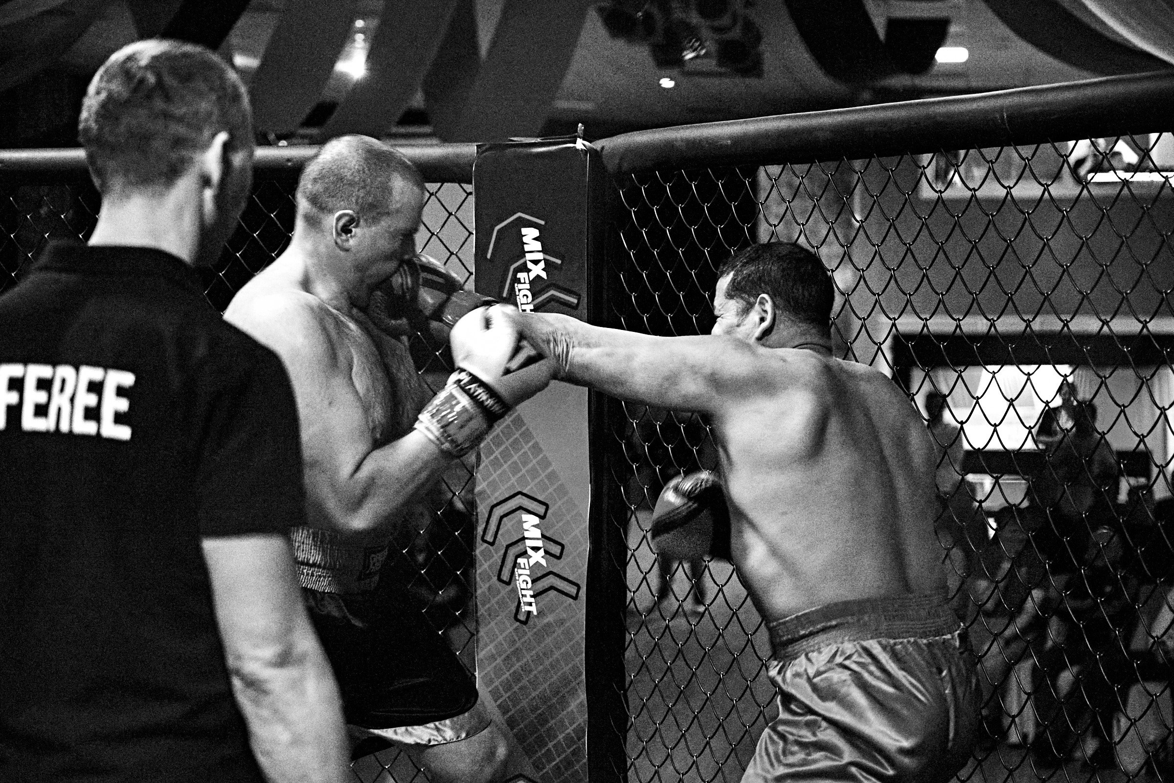 Бои. Маляревич Дмитрий свадебный фотограф