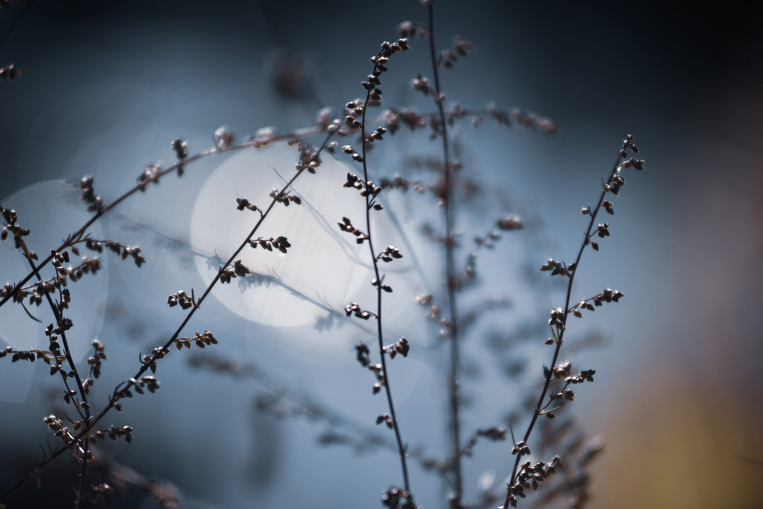 Inspire. Anastasia Serdyuk, travel photographer, travel photo, portraits, stories, fineart prints