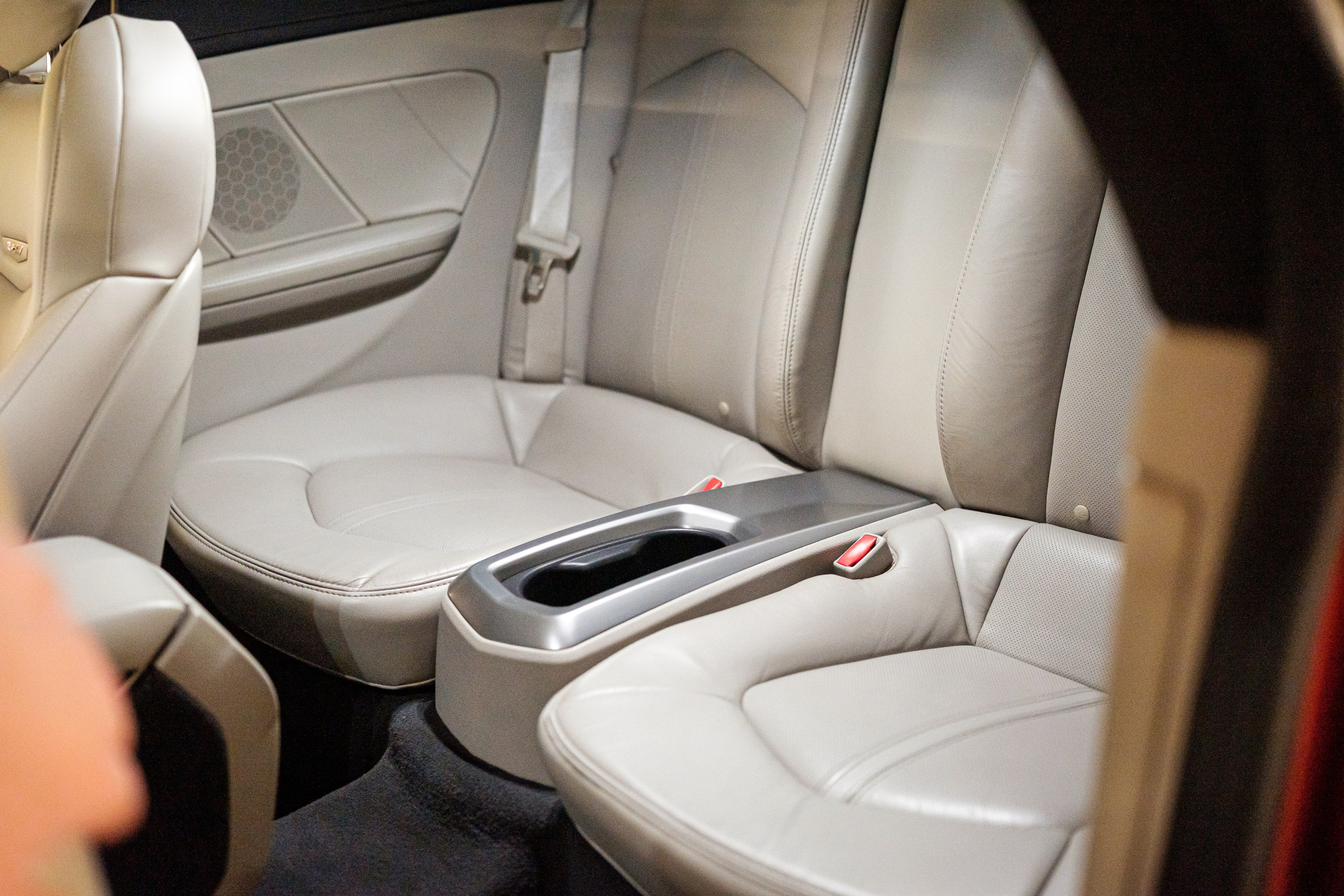 Кэдди. Алексей Никифоров фотограф Москва, Химки