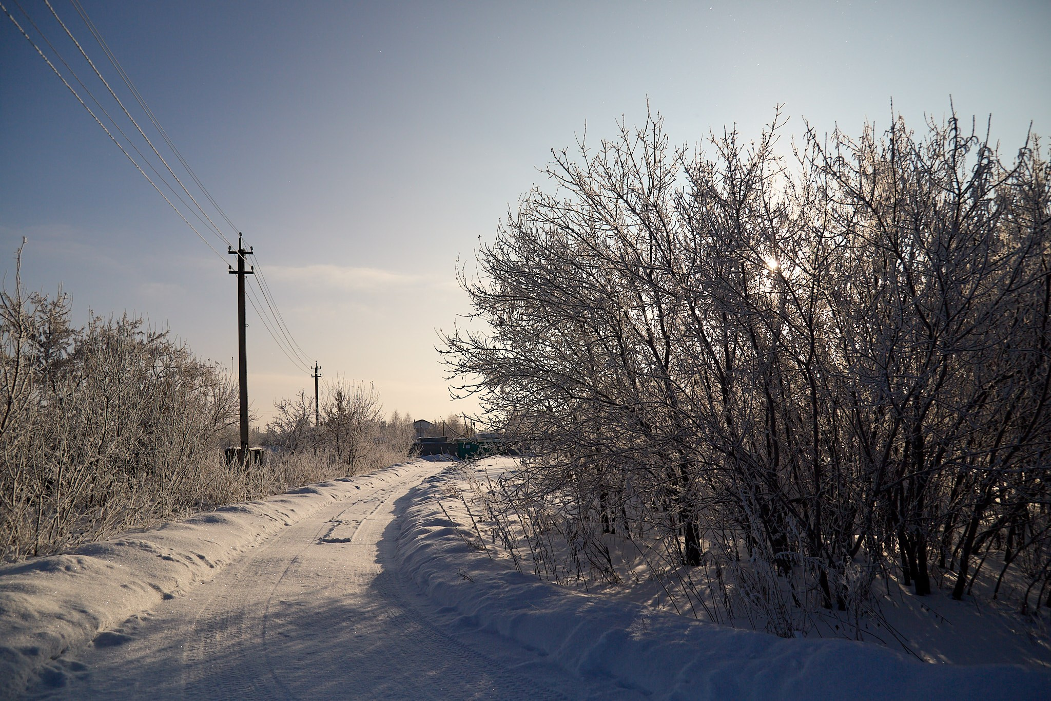 Предновогодняя сказка. Фотограф Омск | Александр Вандеров