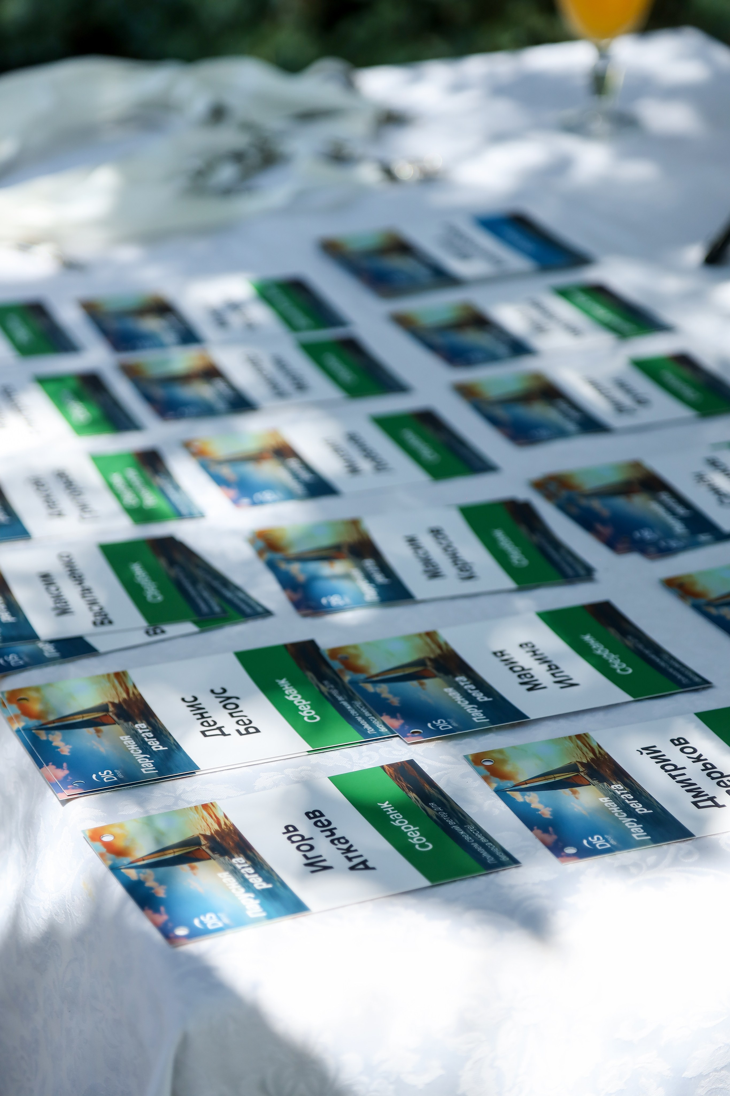 DIS регата2024. Фотограф Антон Чупринин