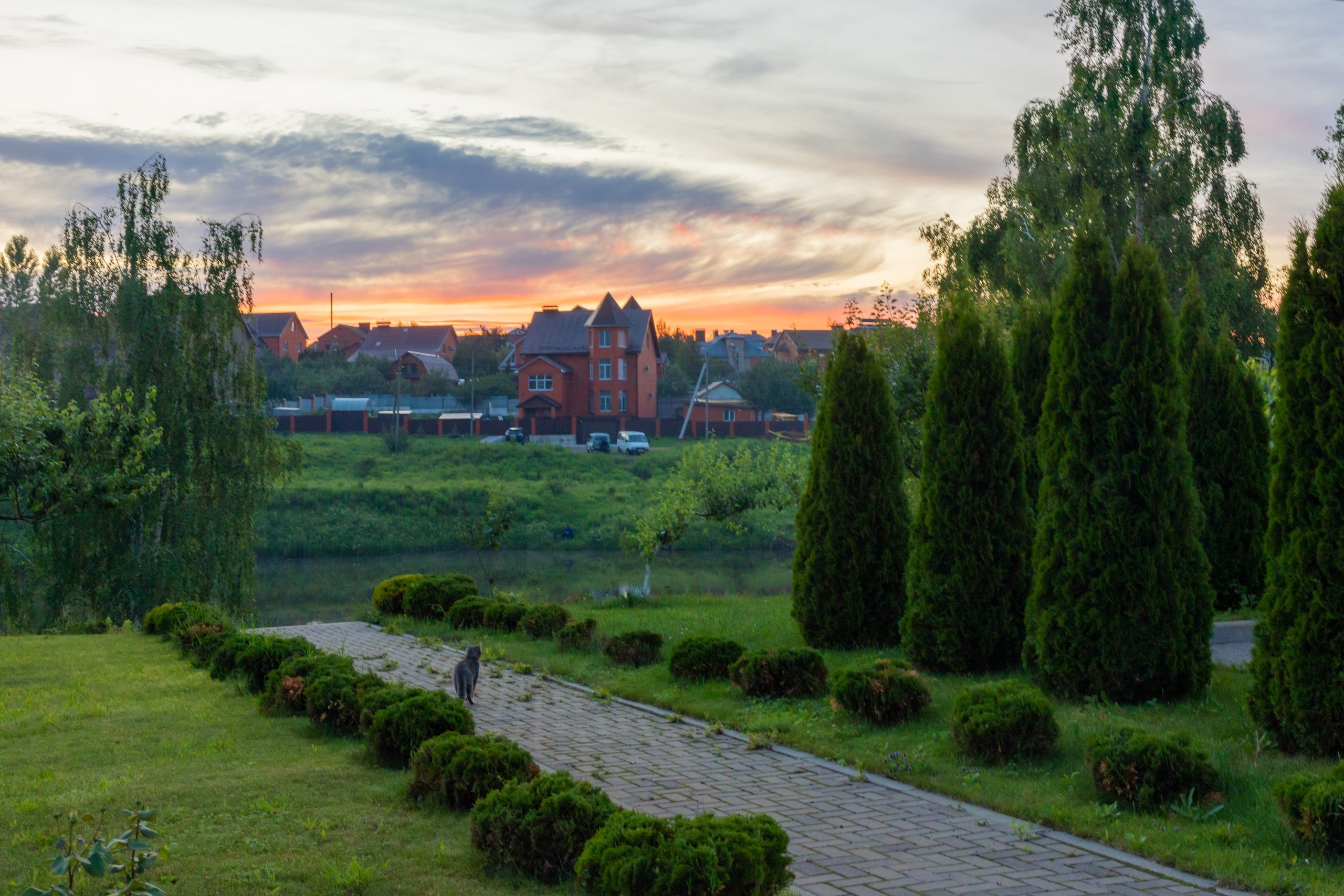 Лето в поселке Басово-Прудный и деревне Старое-Басово. Фотограф в Туле Крупский АнДРей. Фотостудия «КАДР71» в Туле