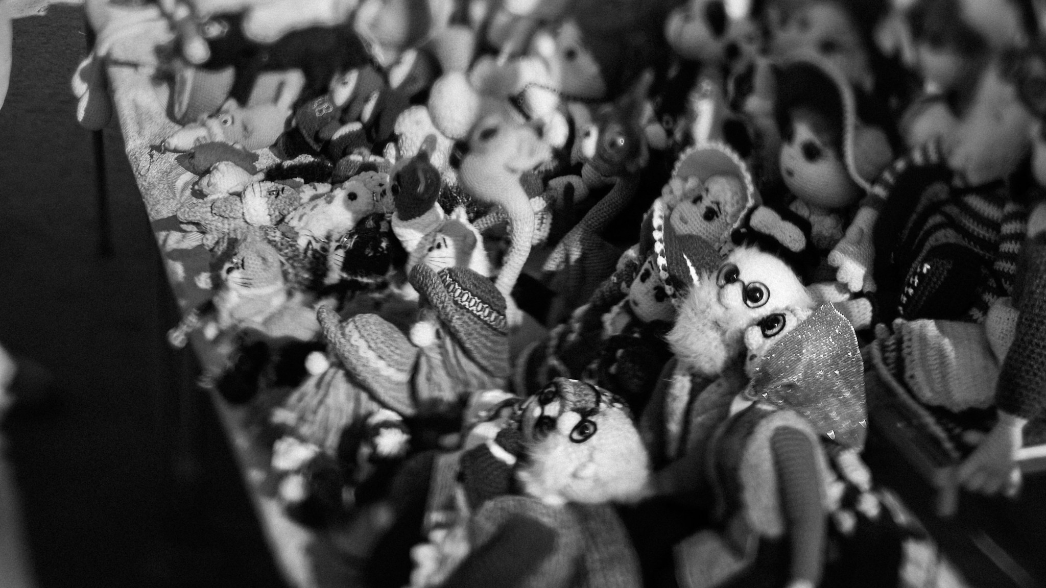 Манго-маракуйя. Андрей Сливенко. Свадебный фотограф и видеограф в Волгодонске и Ростове-на-Дону