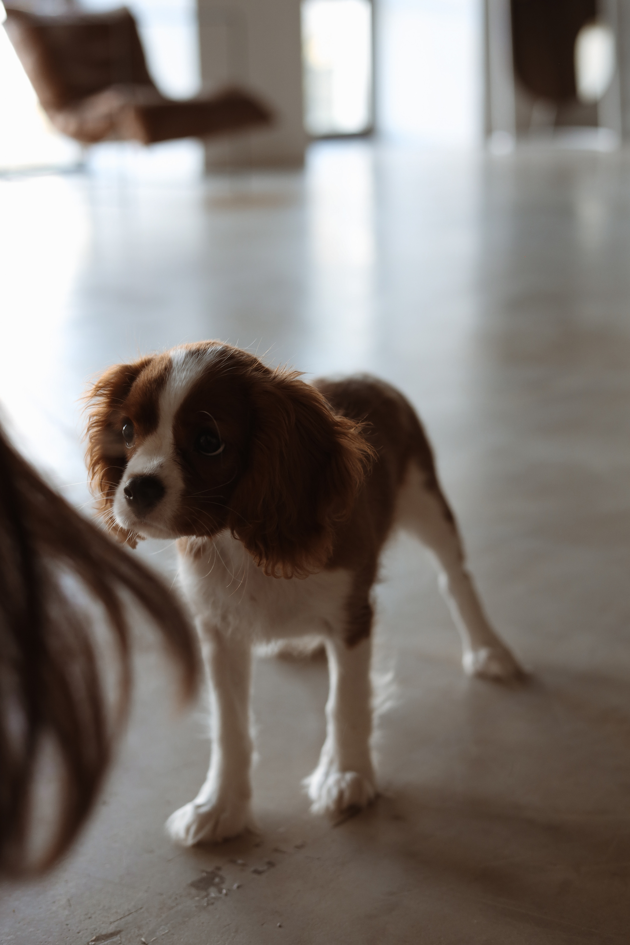 № 1. Photographer Tatiana Ivanova in Yaroslavl