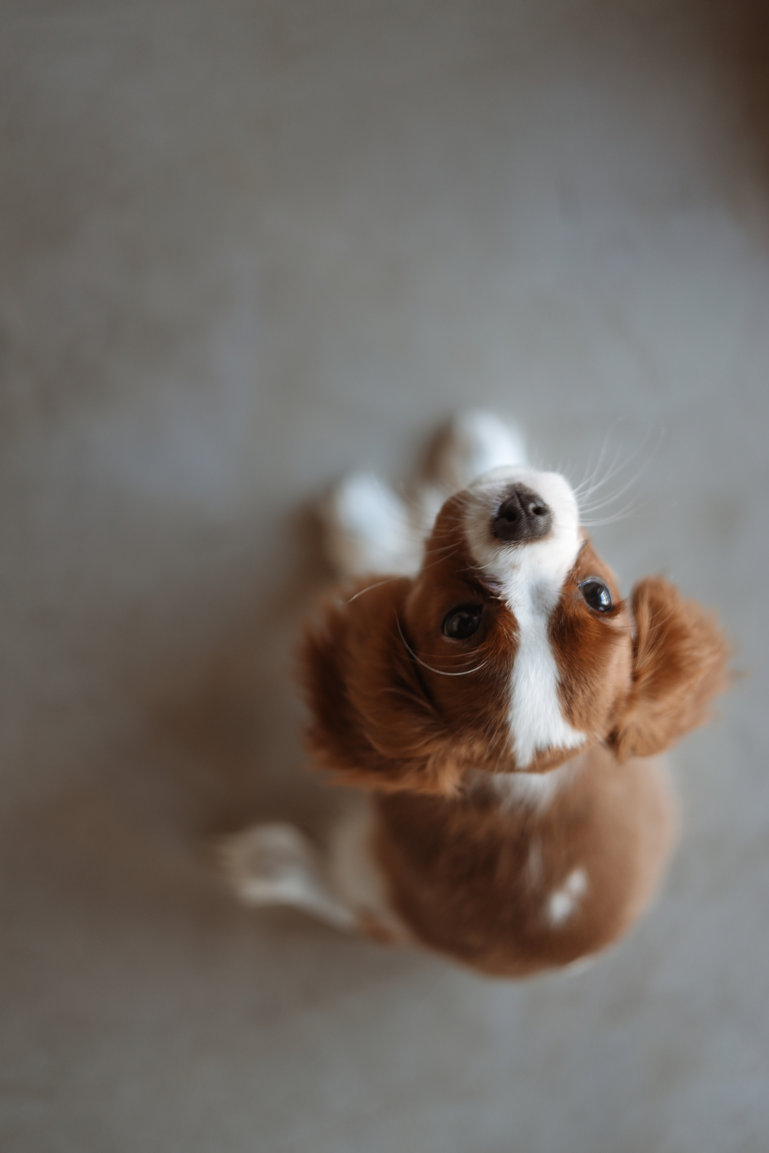 № 1. Photographer Tatiana Ivanova in Yaroslavl