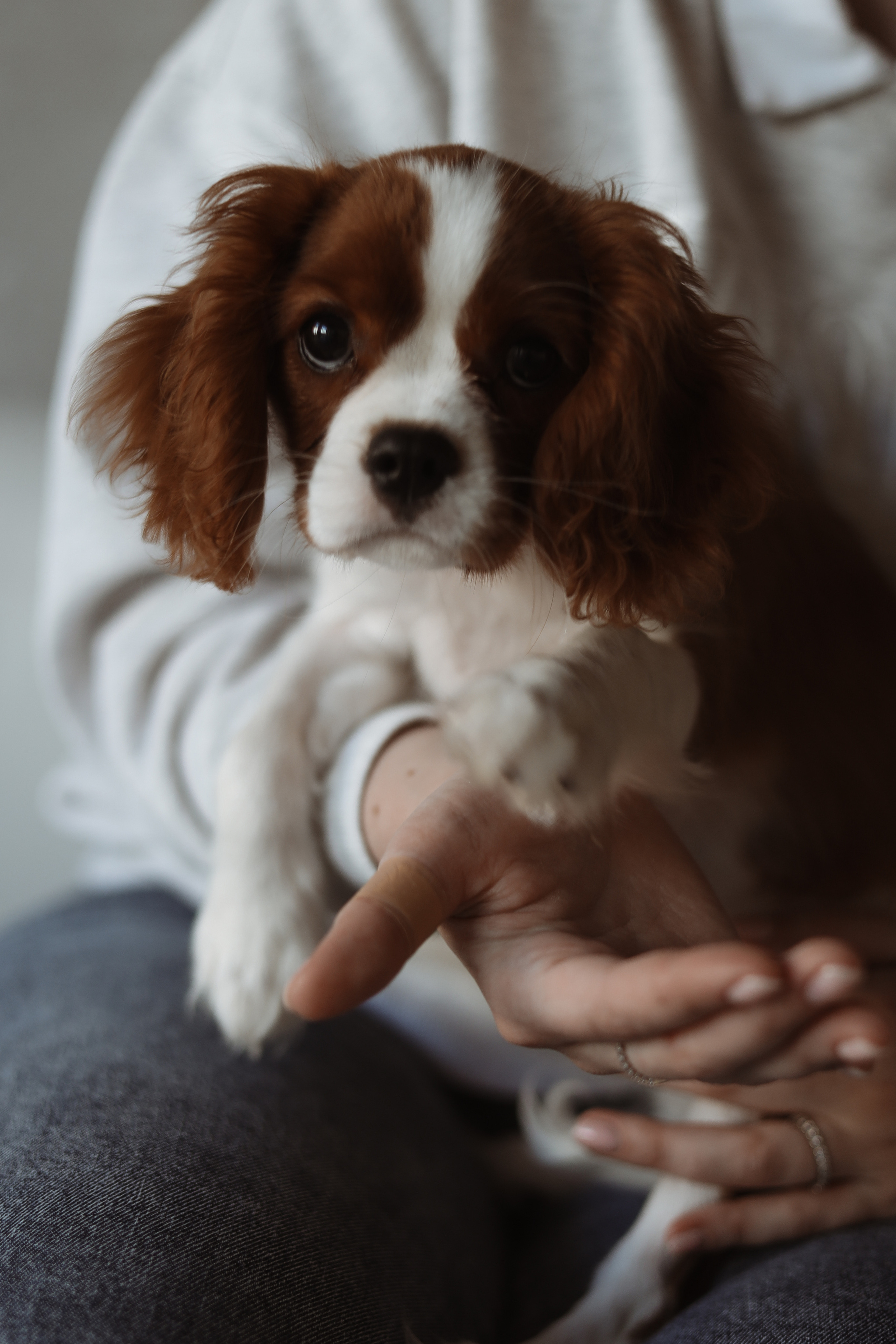 № 1. Photographer Tatiana Ivanova in Yaroslavl