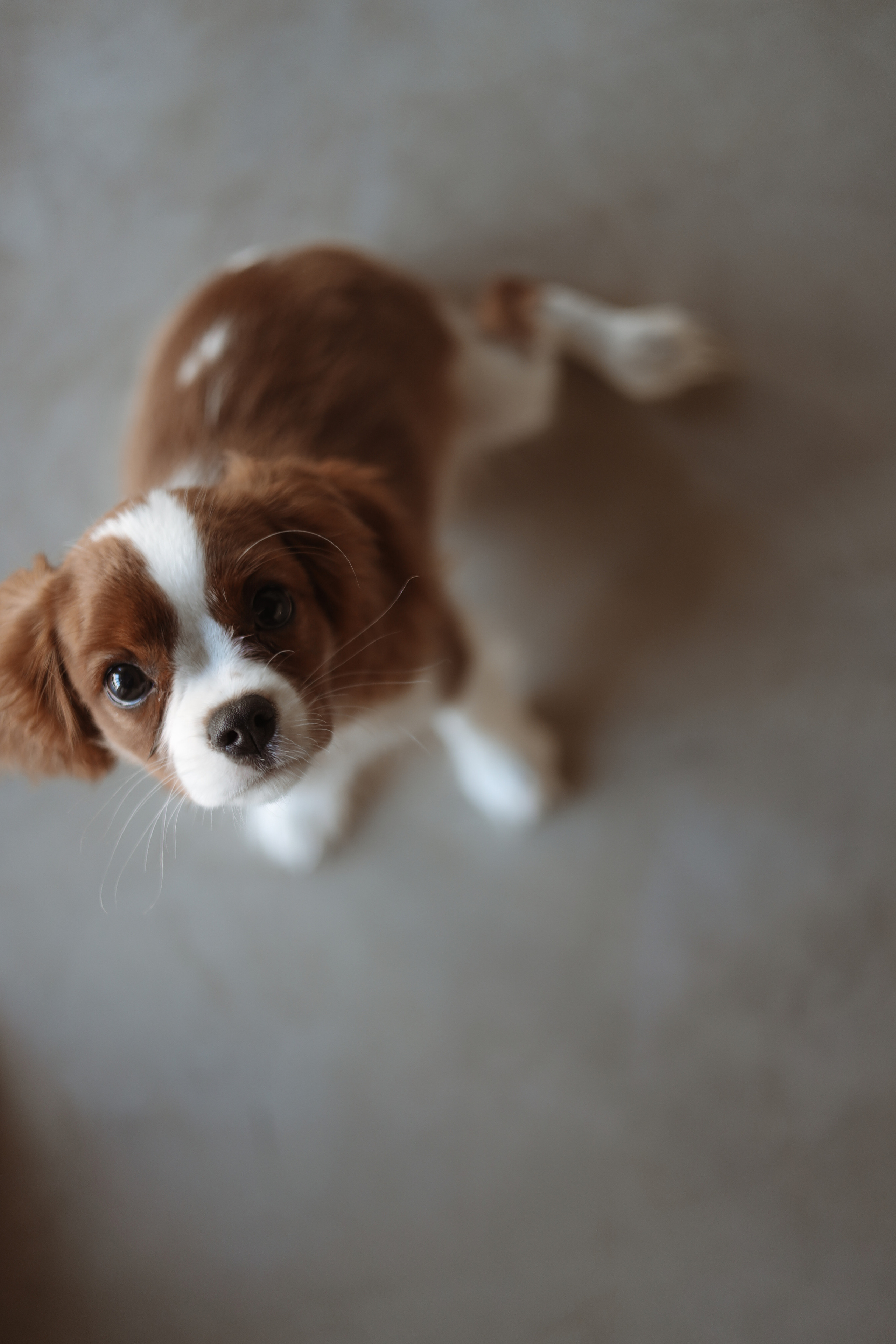 № 1. Photographer Tatiana Ivanova in Yaroslavl