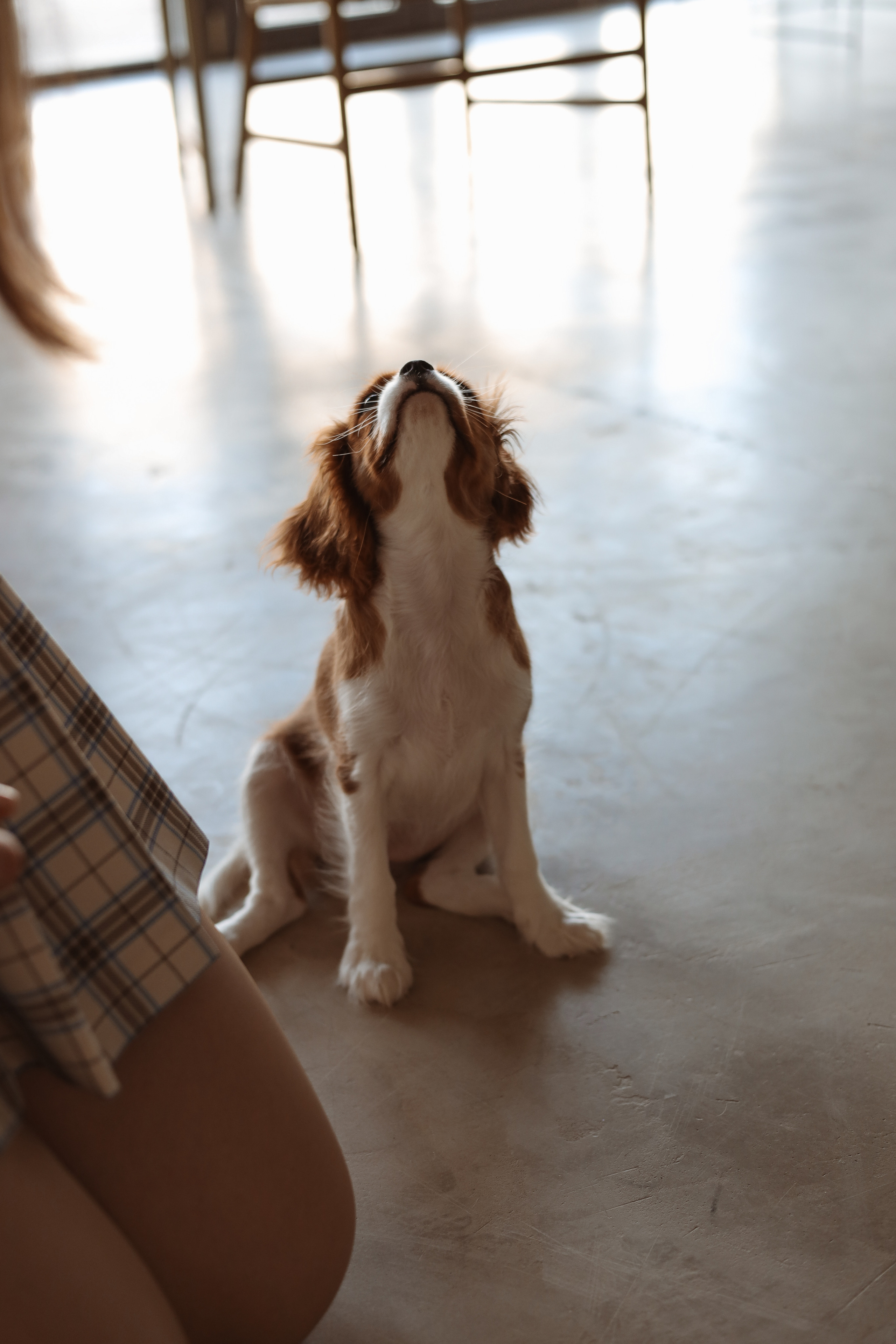 № 1. Photographer Tatiana Ivanova in Yaroslavl