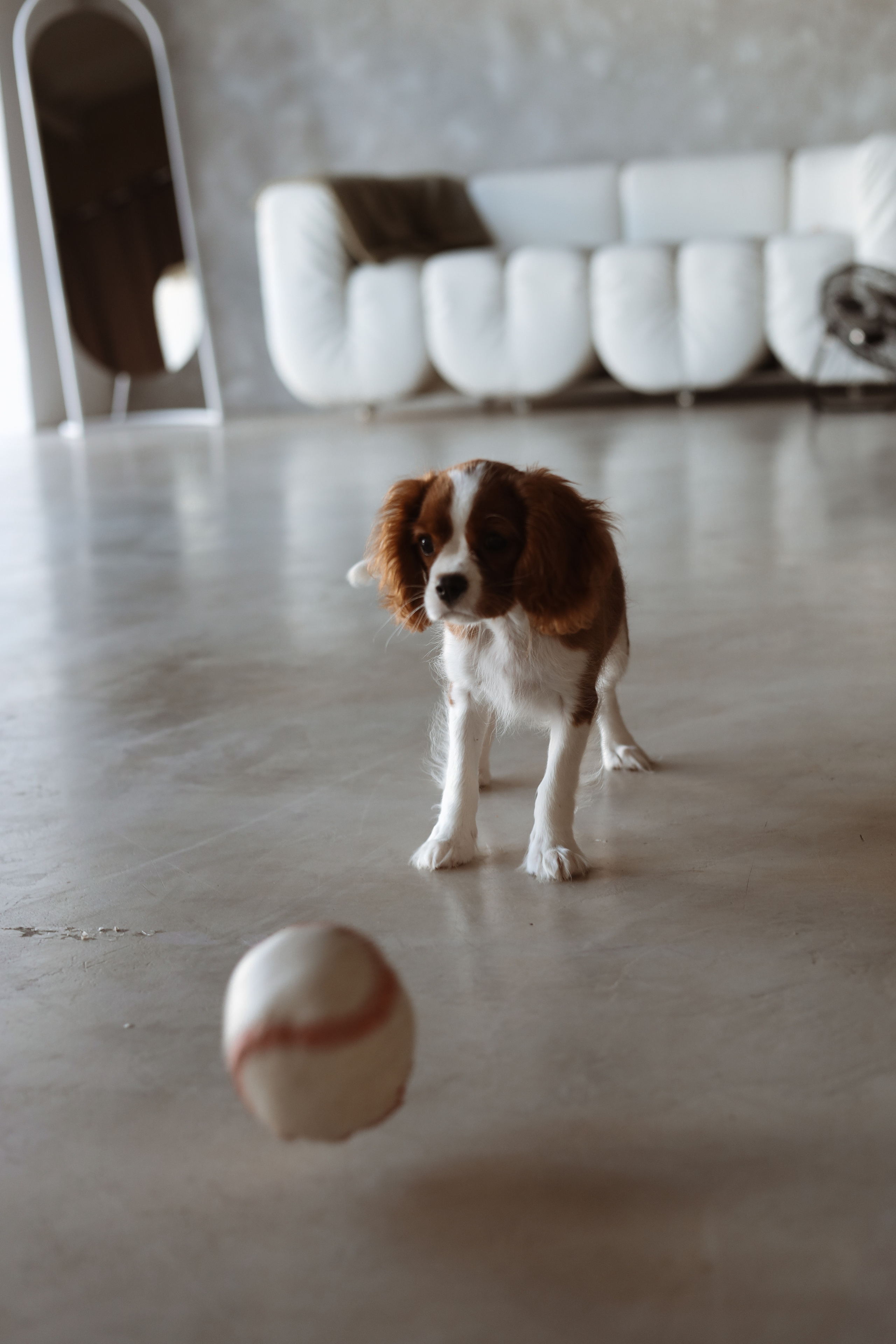 № 1. Photographer Tatiana Ivanova in Yaroslavl