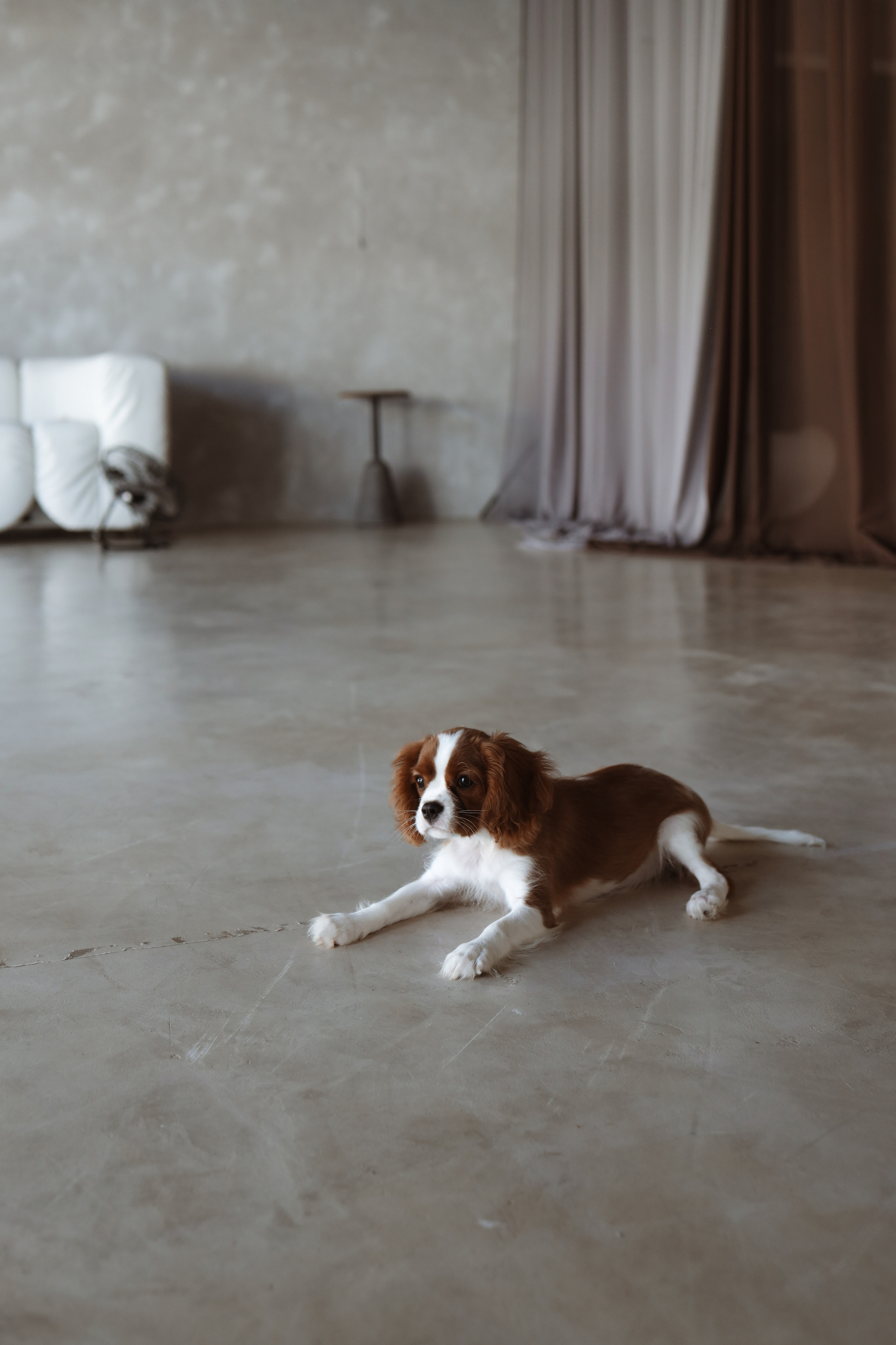 № 1. Photographer Tatiana Ivanova in Yaroslavl