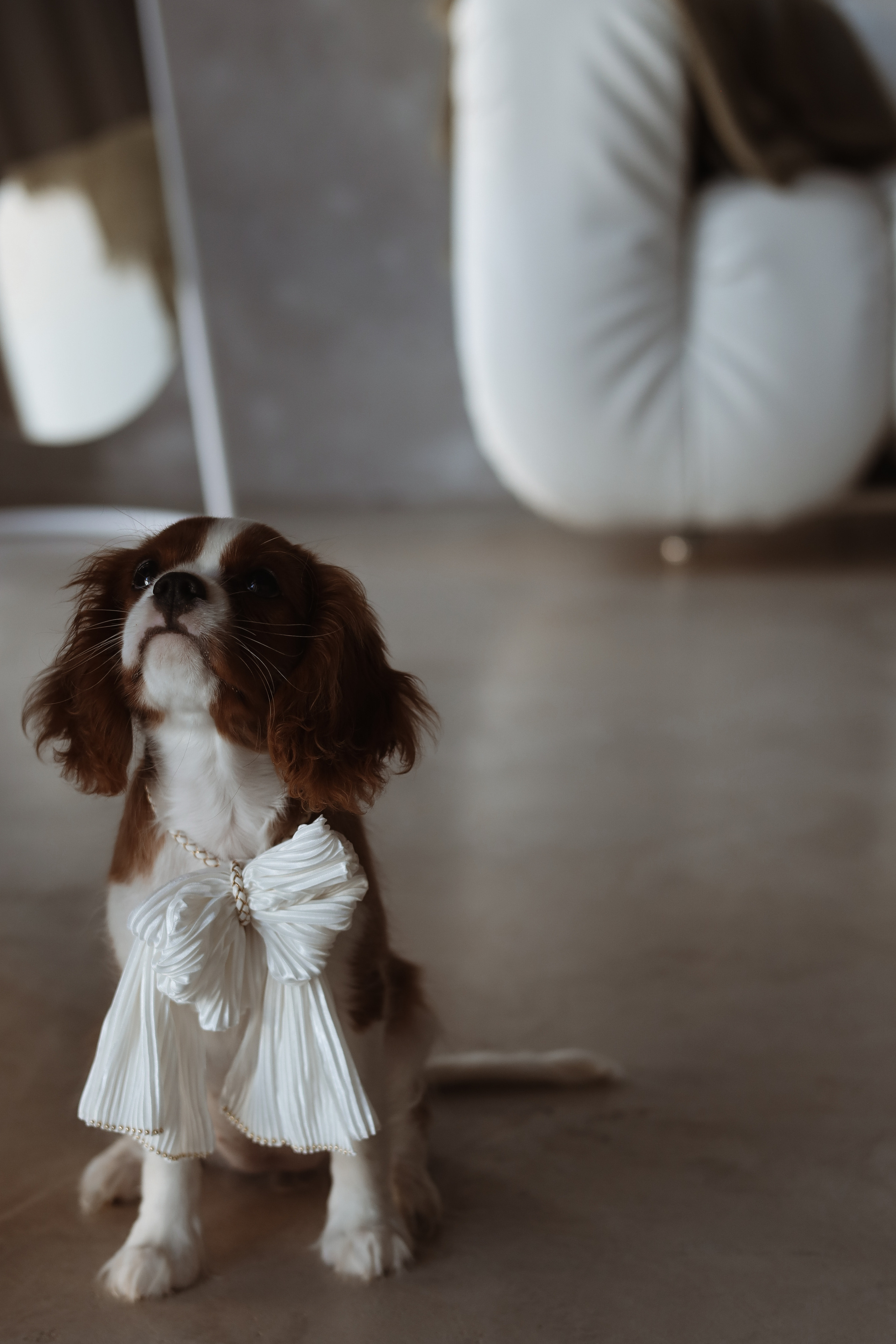 № 1. Photographer Tatiana Ivanova in Yaroslavl