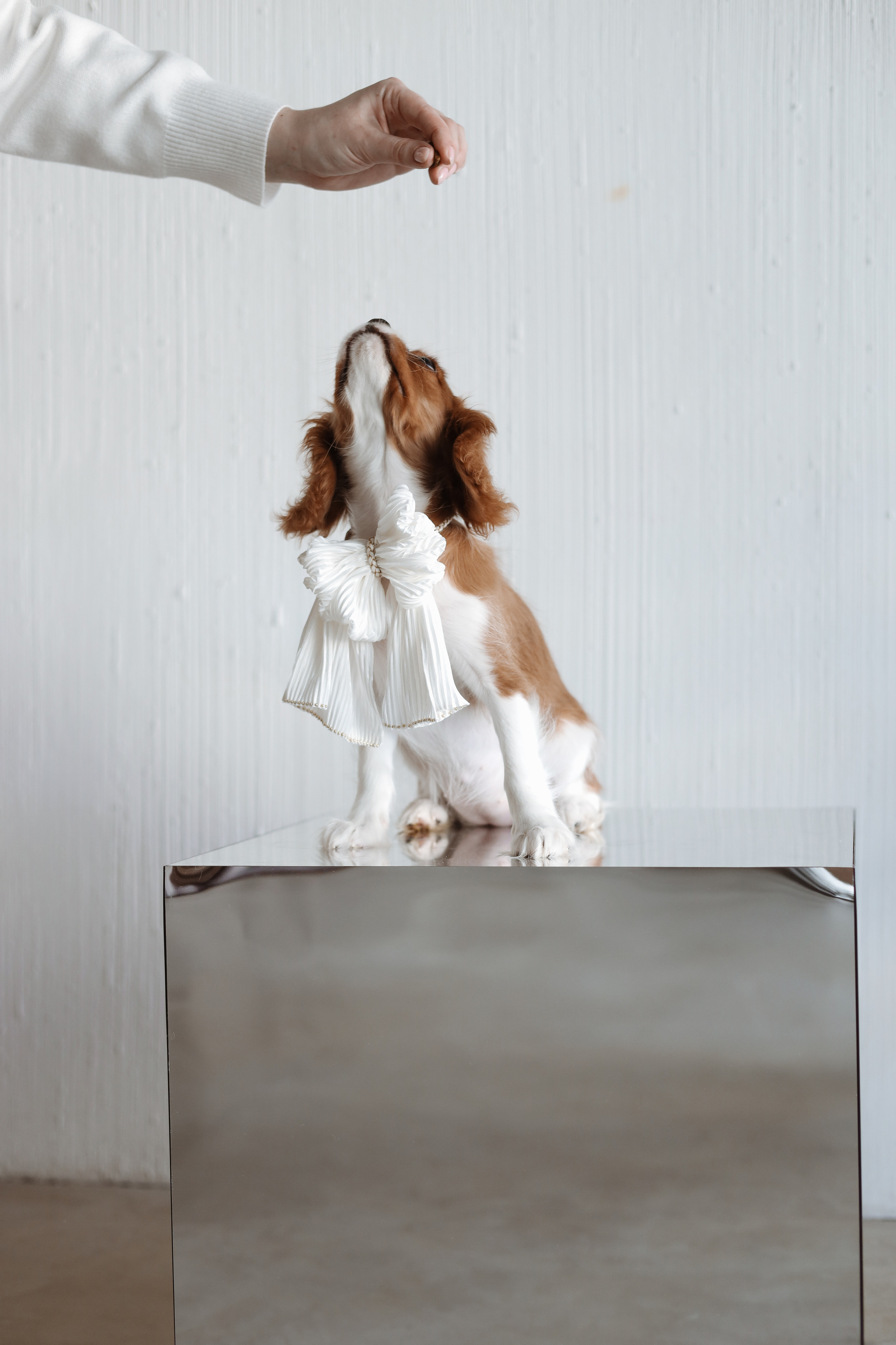 № 1. Photographer Tatiana Ivanova in Yaroslavl