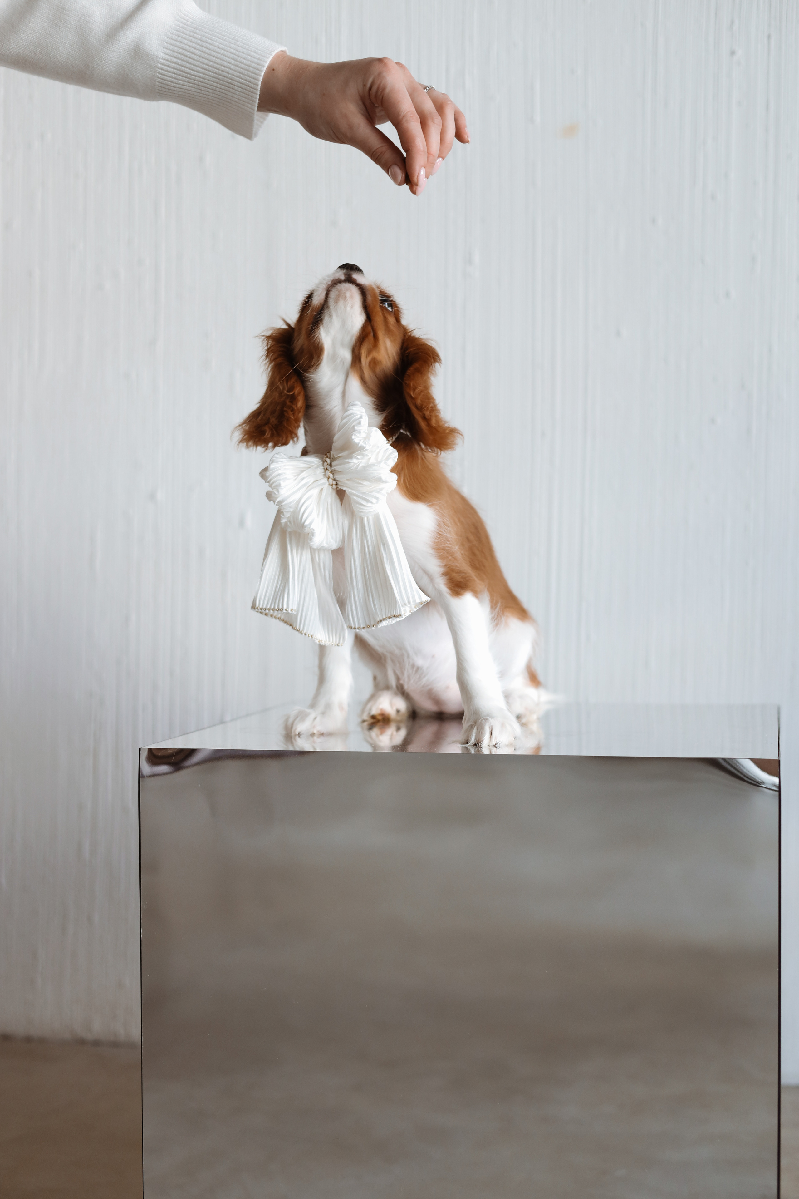 № 1. Photographer Tatiana Ivanova in Yaroslavl