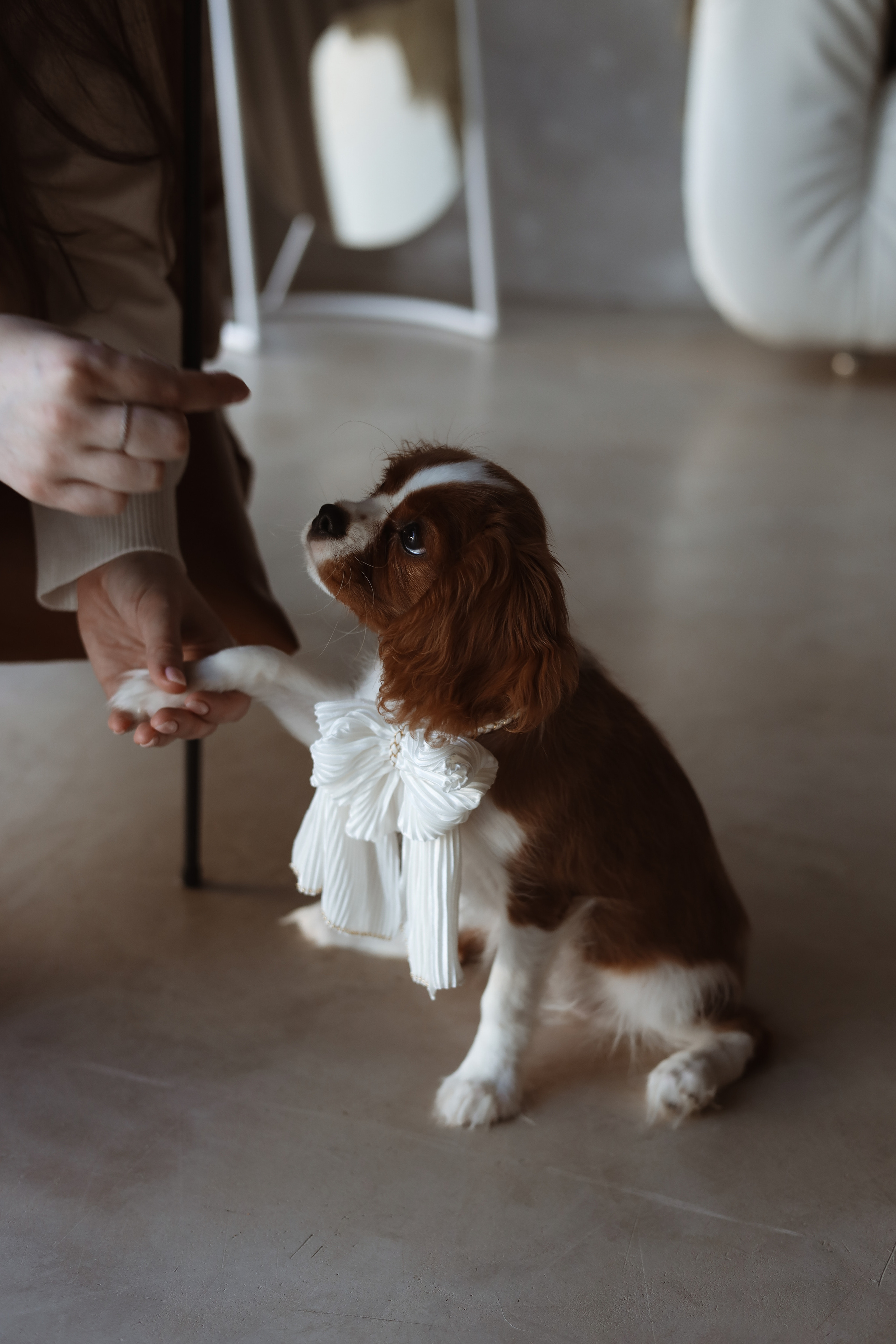 № 1. Photographer Tatiana Ivanova in Yaroslavl