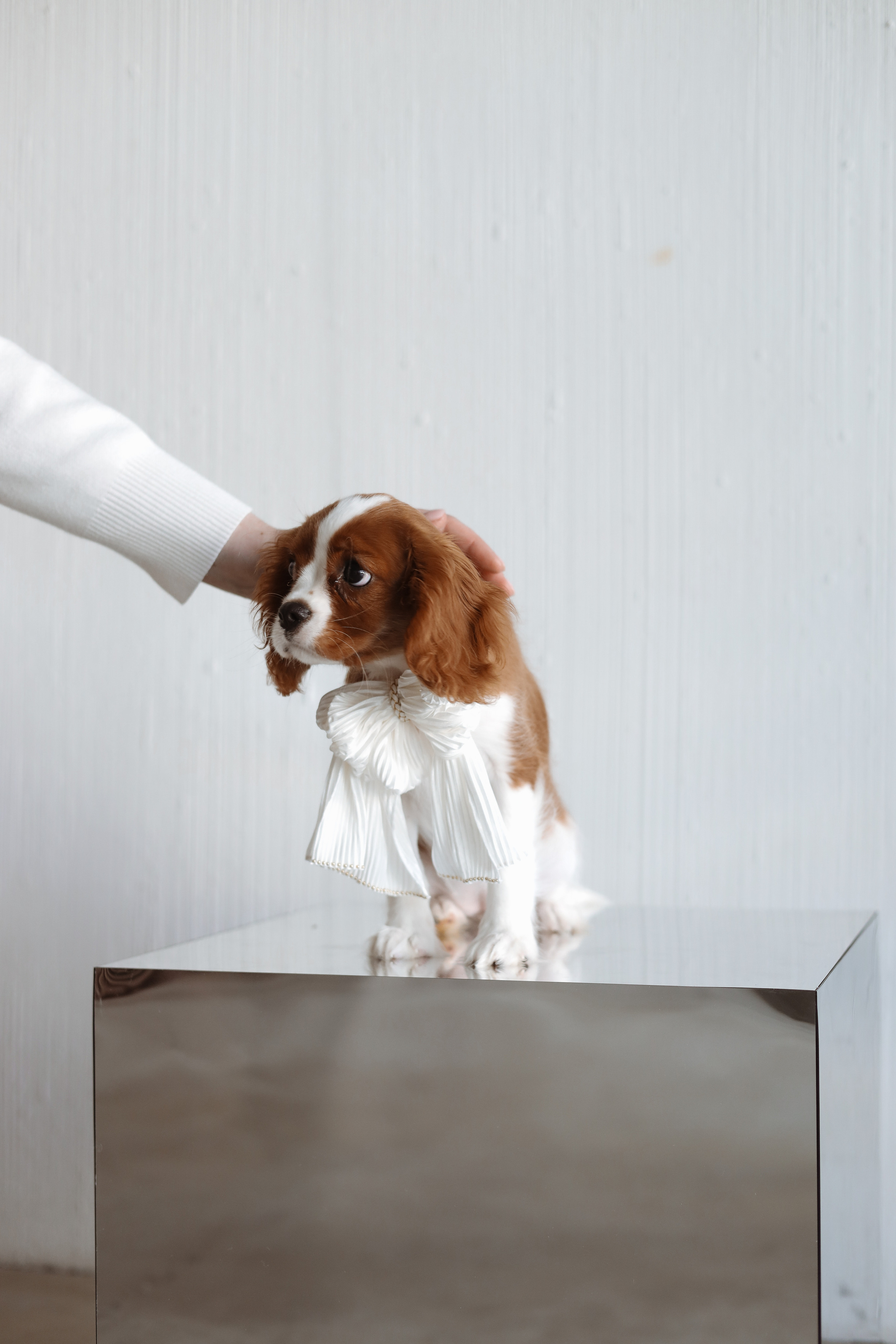 № 1. Photographer Tatiana Ivanova in Yaroslavl