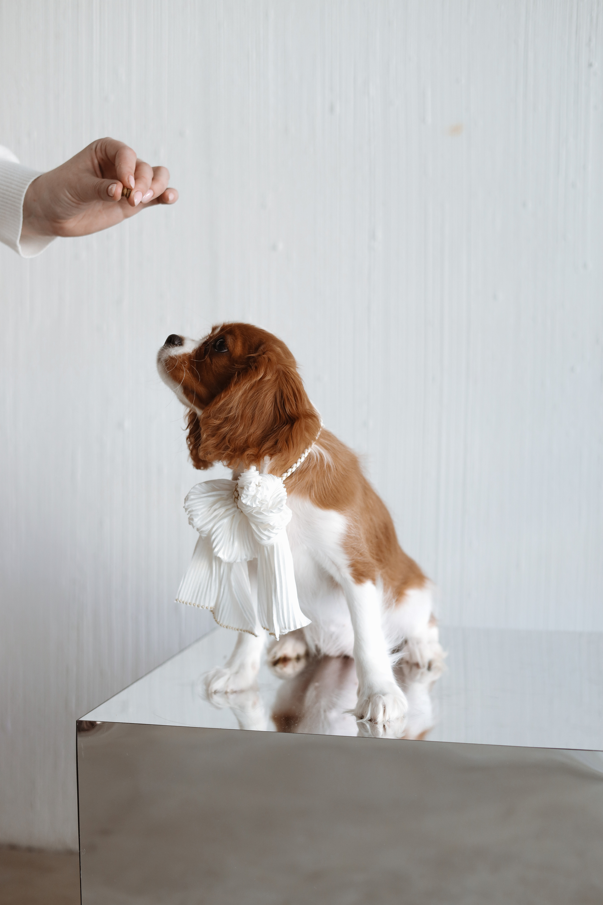 № 1. Photographer Tatiana Ivanova in Yaroslavl