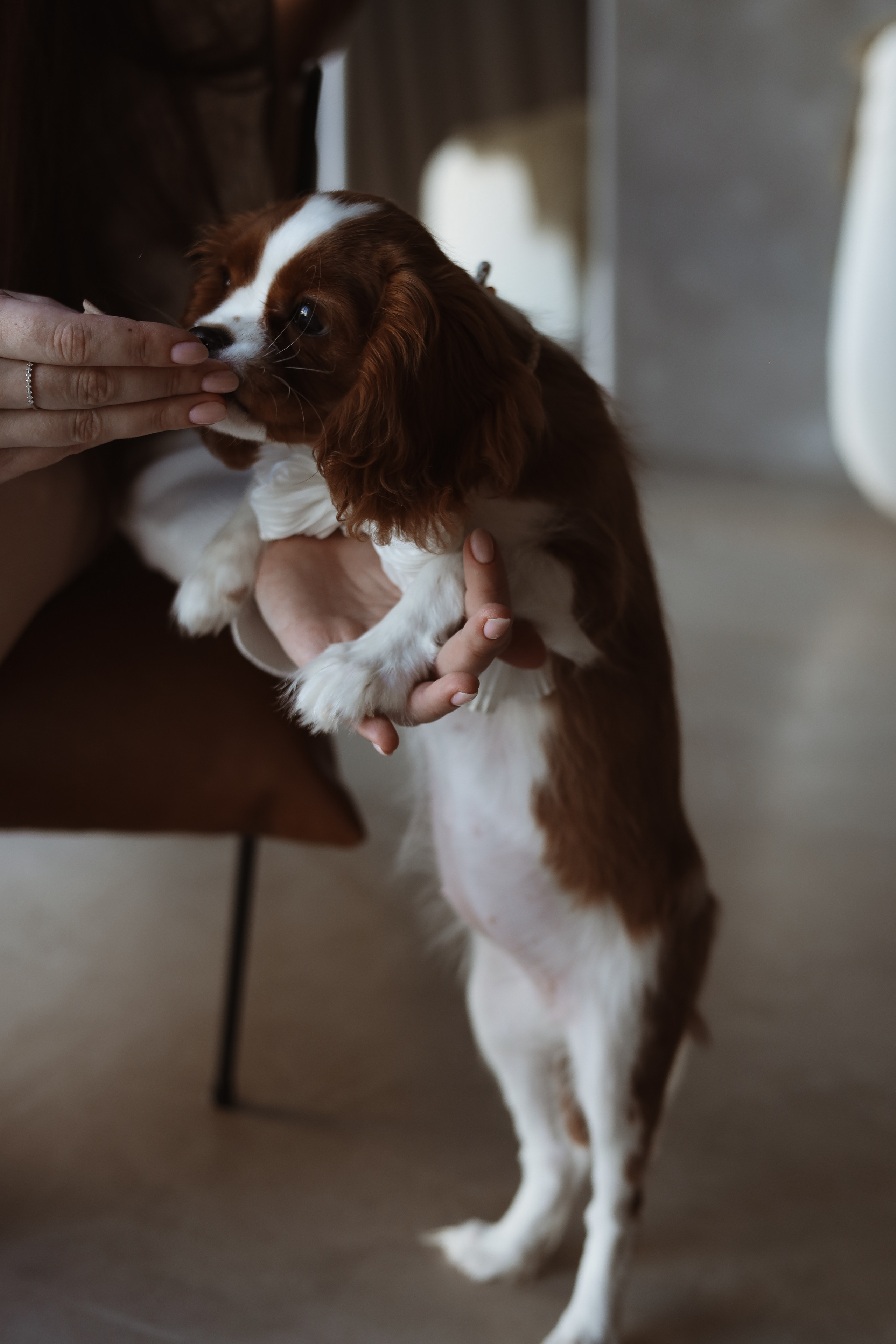 № 1. Photographer Tatiana Ivanova in Yaroslavl