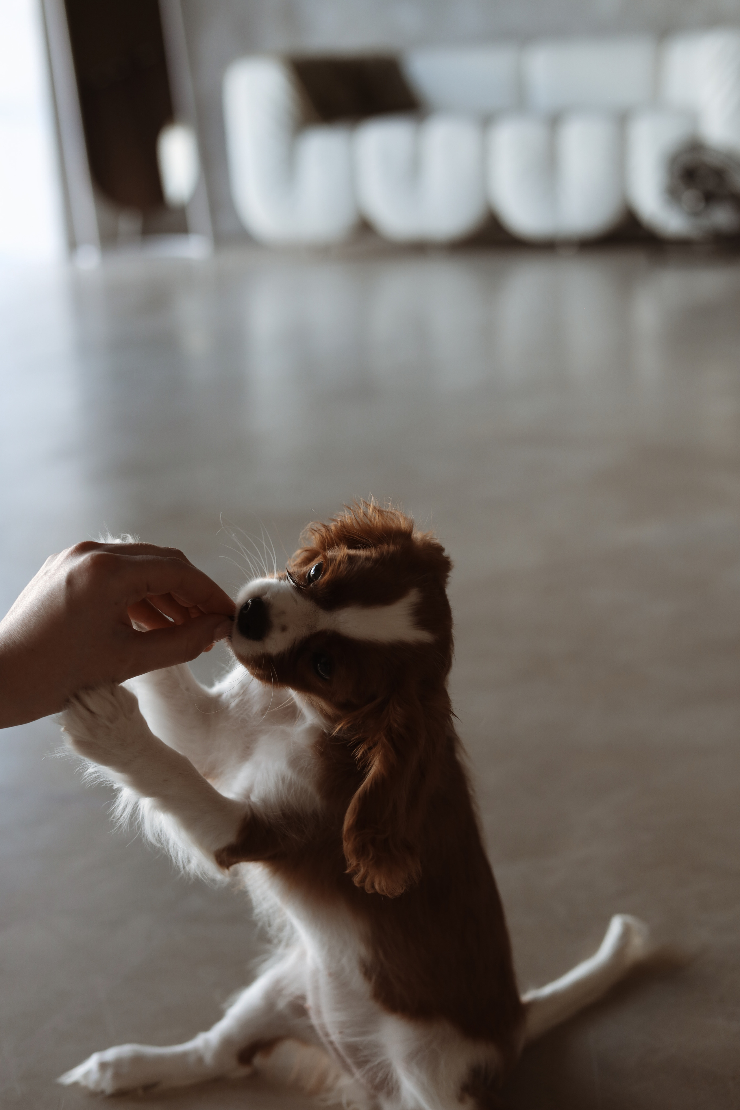 № 1. Photographer Tatiana Ivanova in Yaroslavl