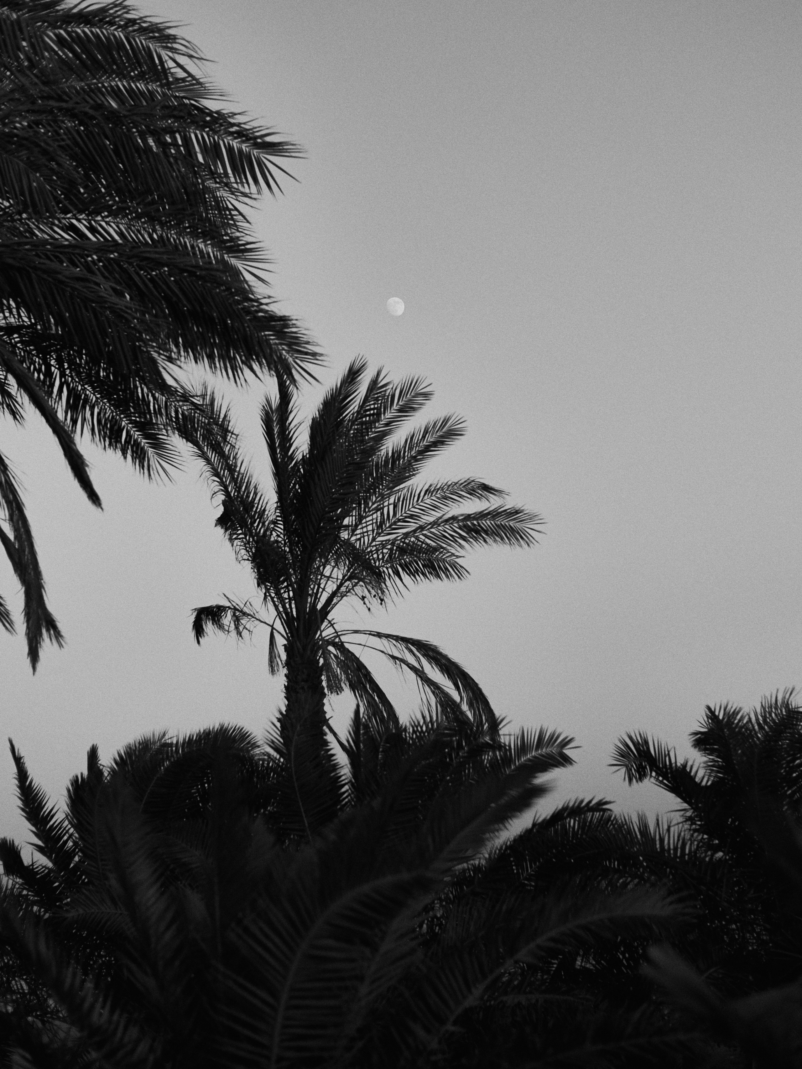 Другое 3. Jorgis Talè — photographer, kind person, teacher of arts and other mag