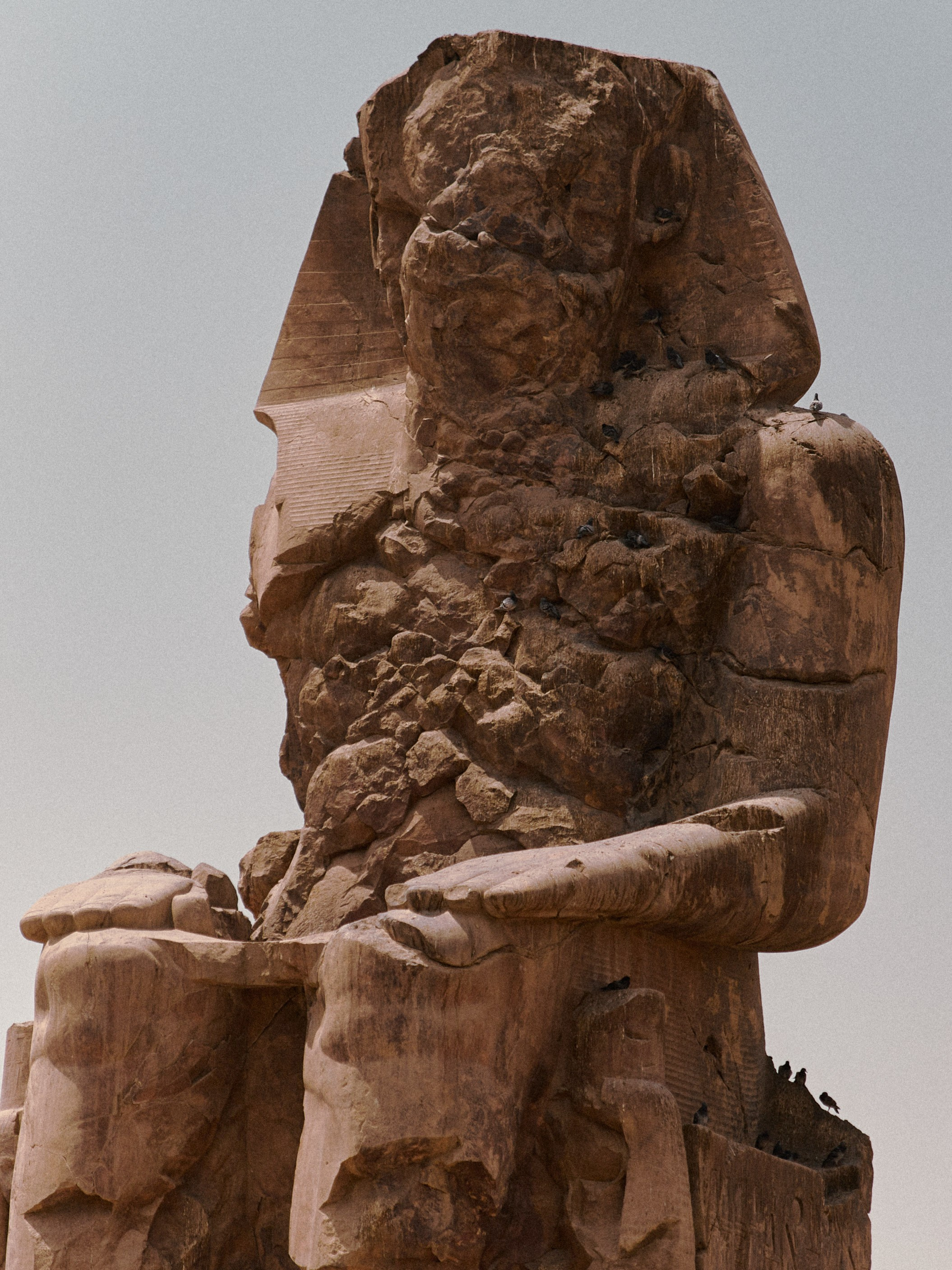 Диптих. Jorgis — фотограф в Хургаде / обучение фотографии