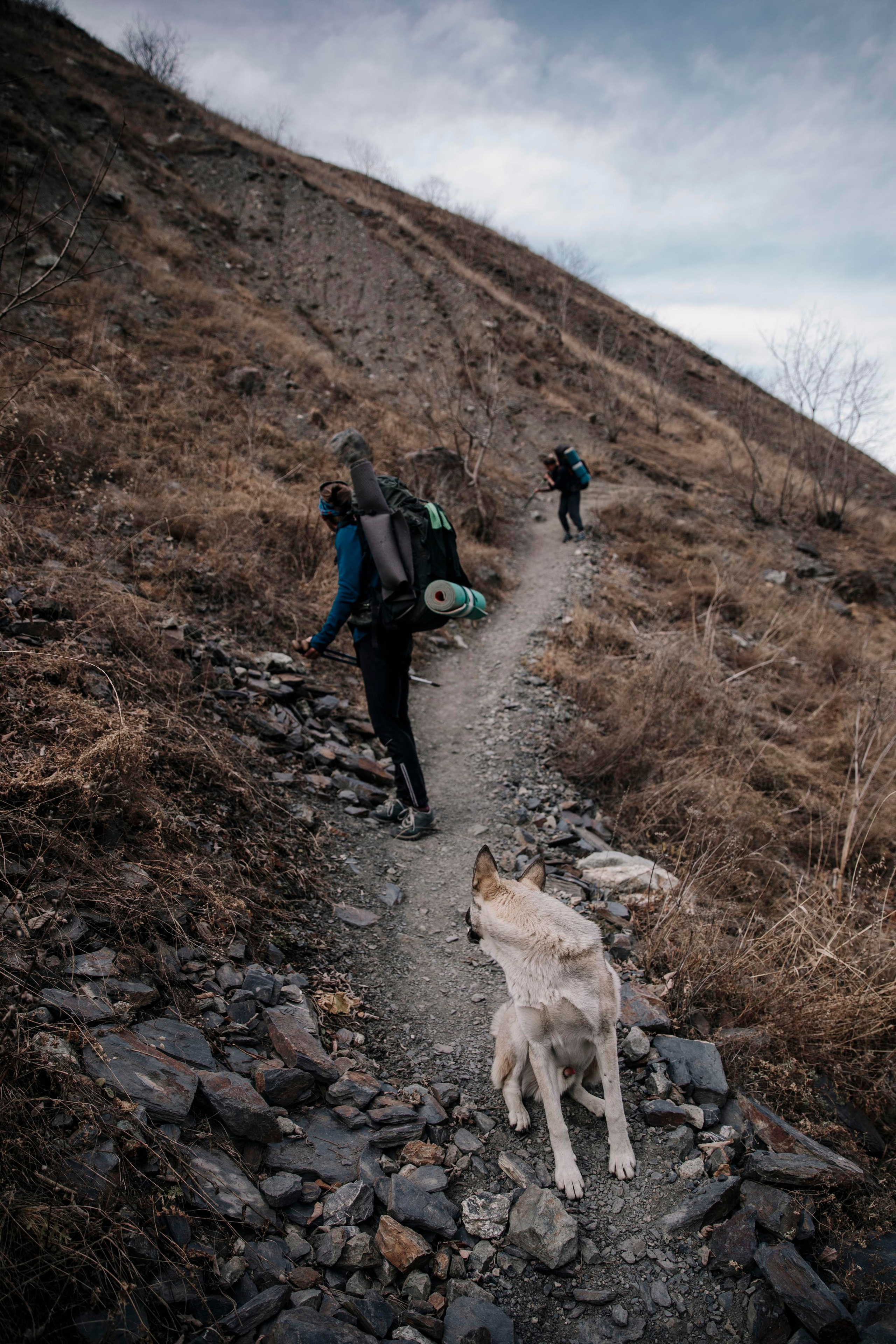 Треккинг / восхождения / активности