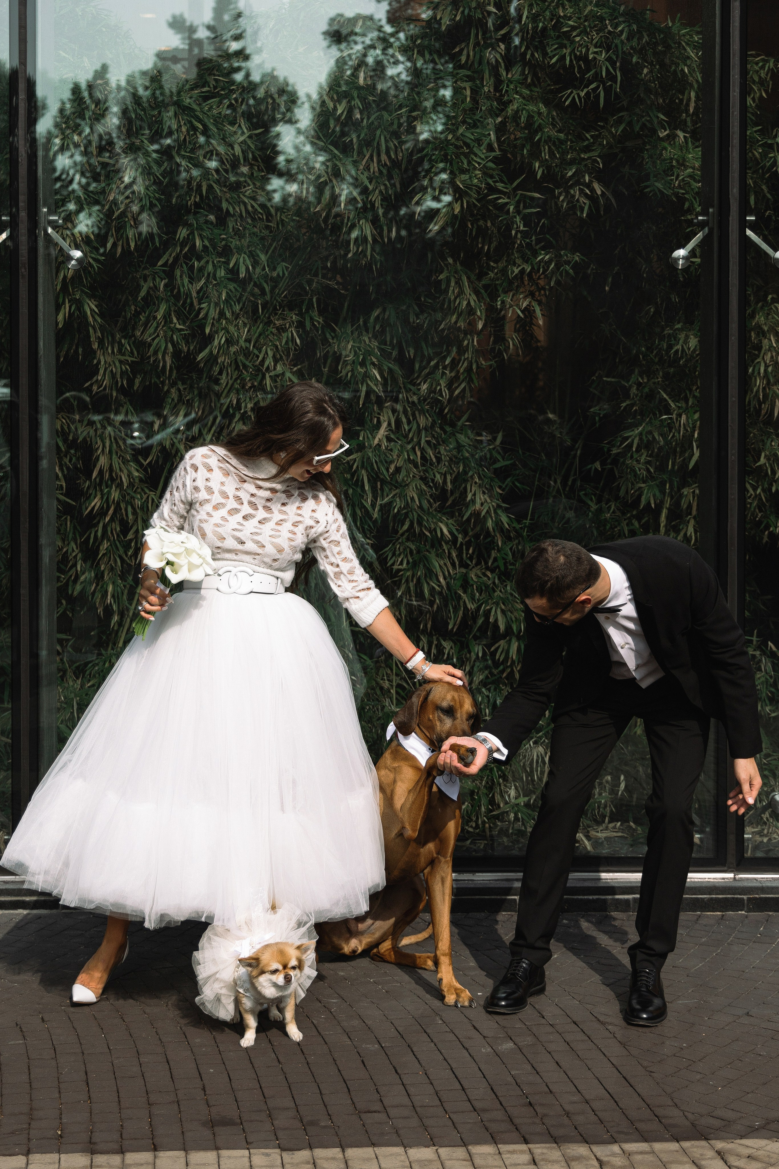 Свадебный фотограф в Москве. Свадебный фотограф и видеограф в Москве, Виктор Архилюк