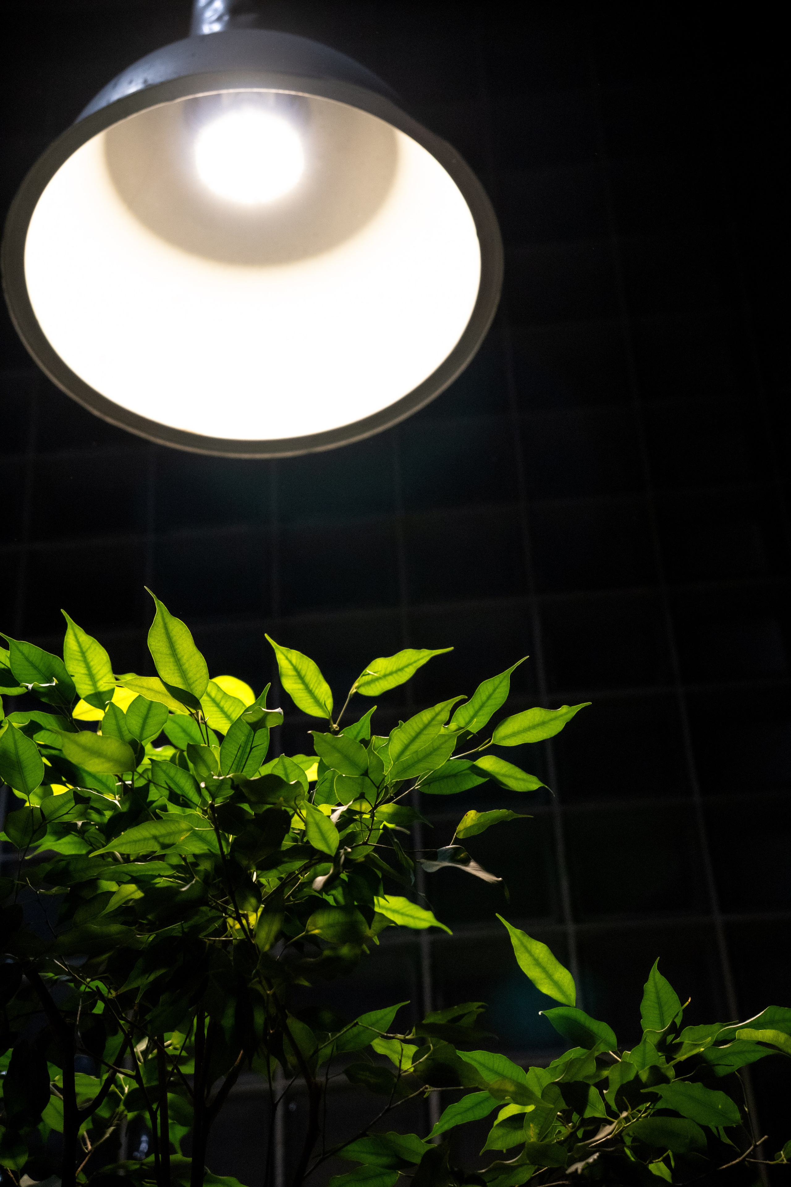 SM MARKET WINTER 25. Фотограф Дмитрий Жилин