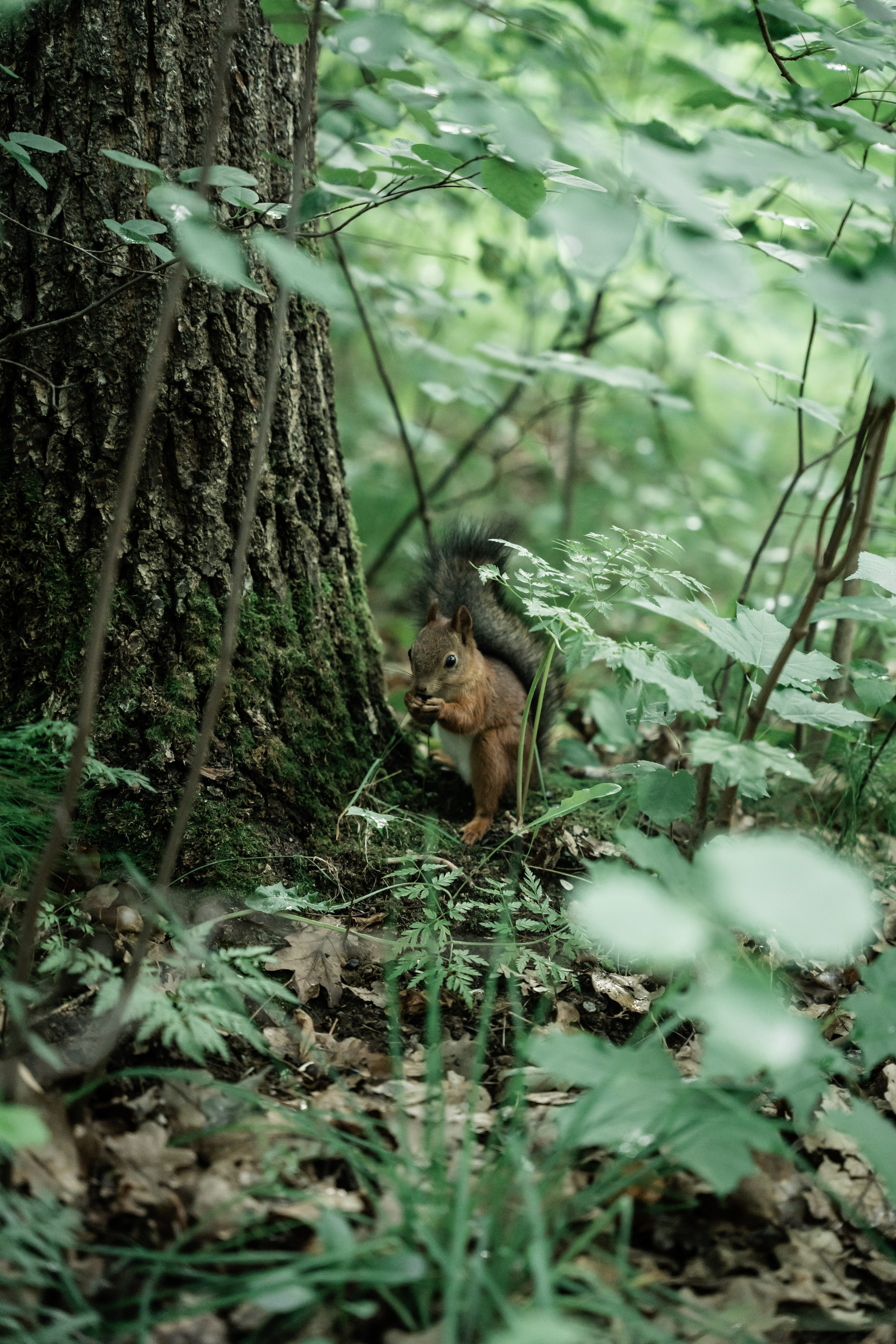 Слава и Олеся. Love Story