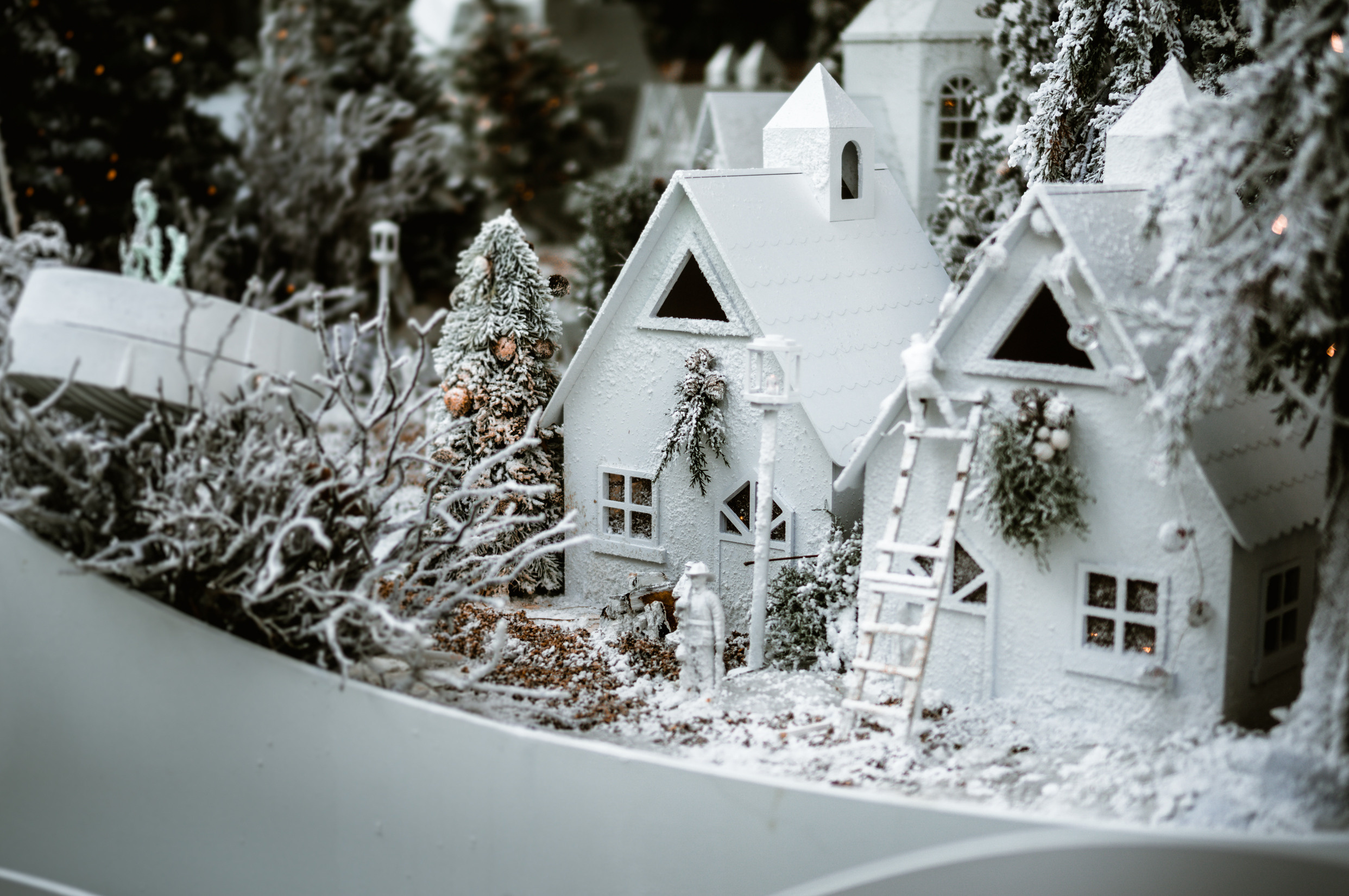 Корея ноябрь 2017. Фотограф в Хабаровске. Фотография за 24 часа