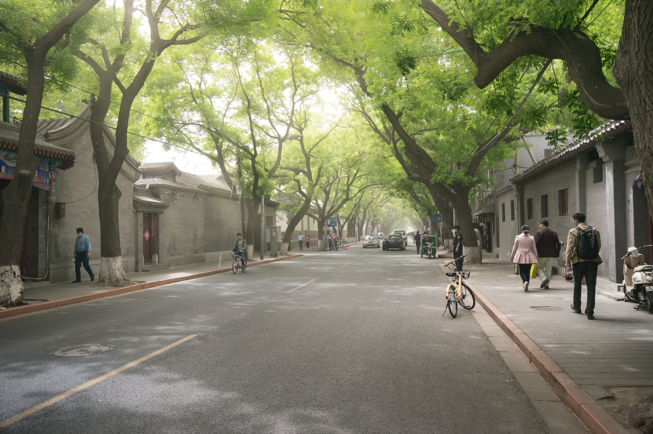 Китай. Пекин. Фотограф в Хабаровске. Фотография за 24 часа