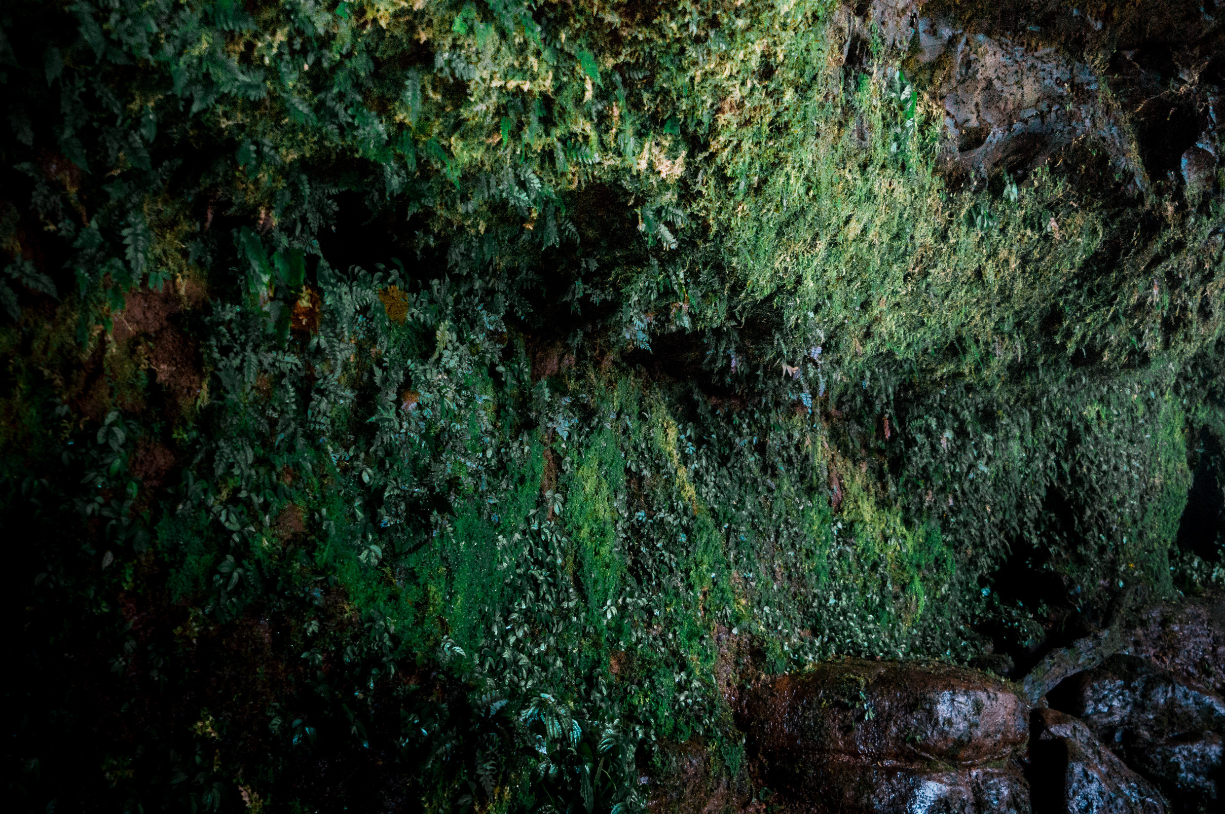 ЮВА: Южная Корея, Вьетнам, Камбоджа, Лаос. Фотограф в Хабаровске. Фотография за 24 часа