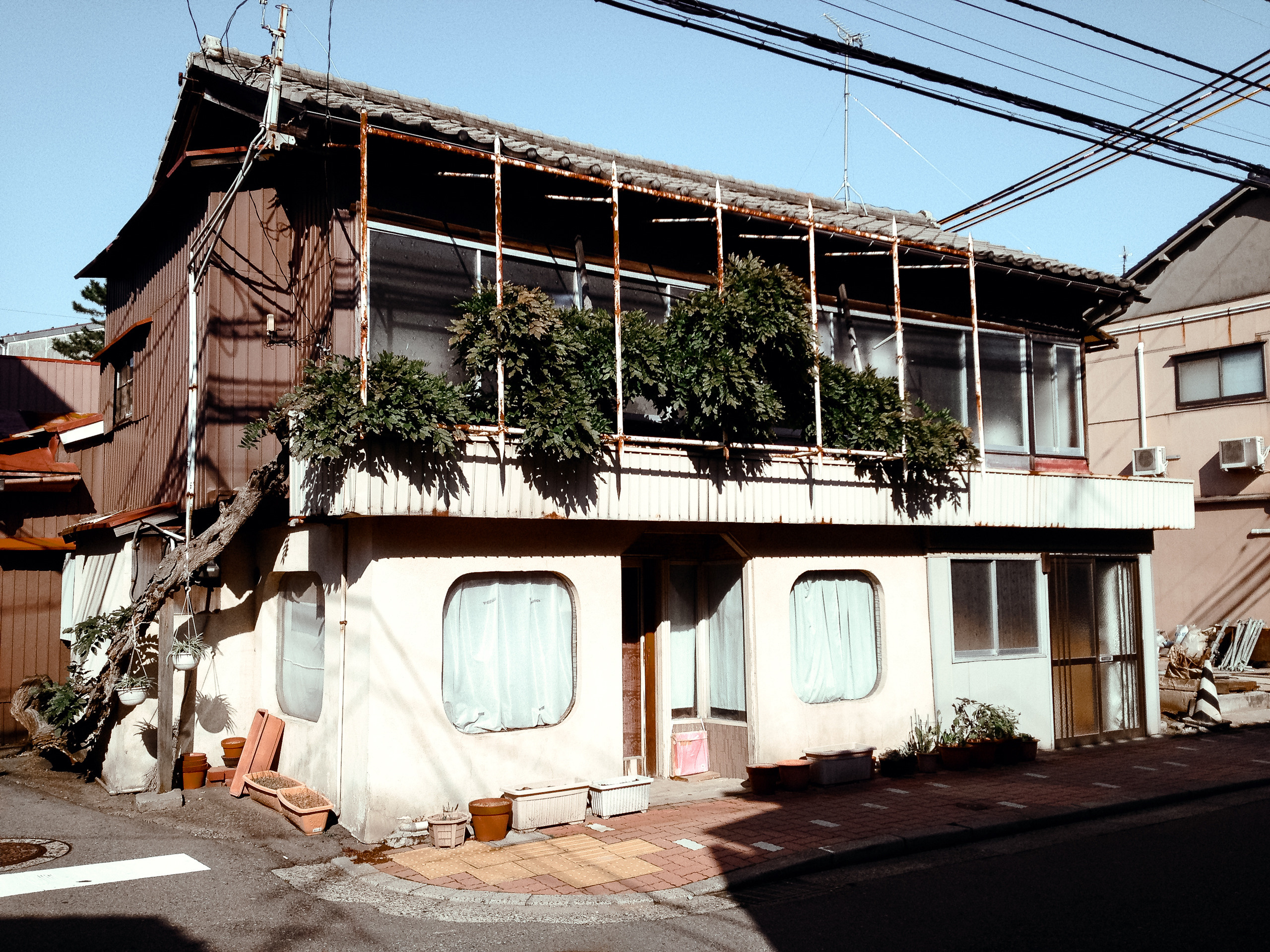 Япония. Ниигата. Фотограф в Хабаровске. Фотография за 24 часа