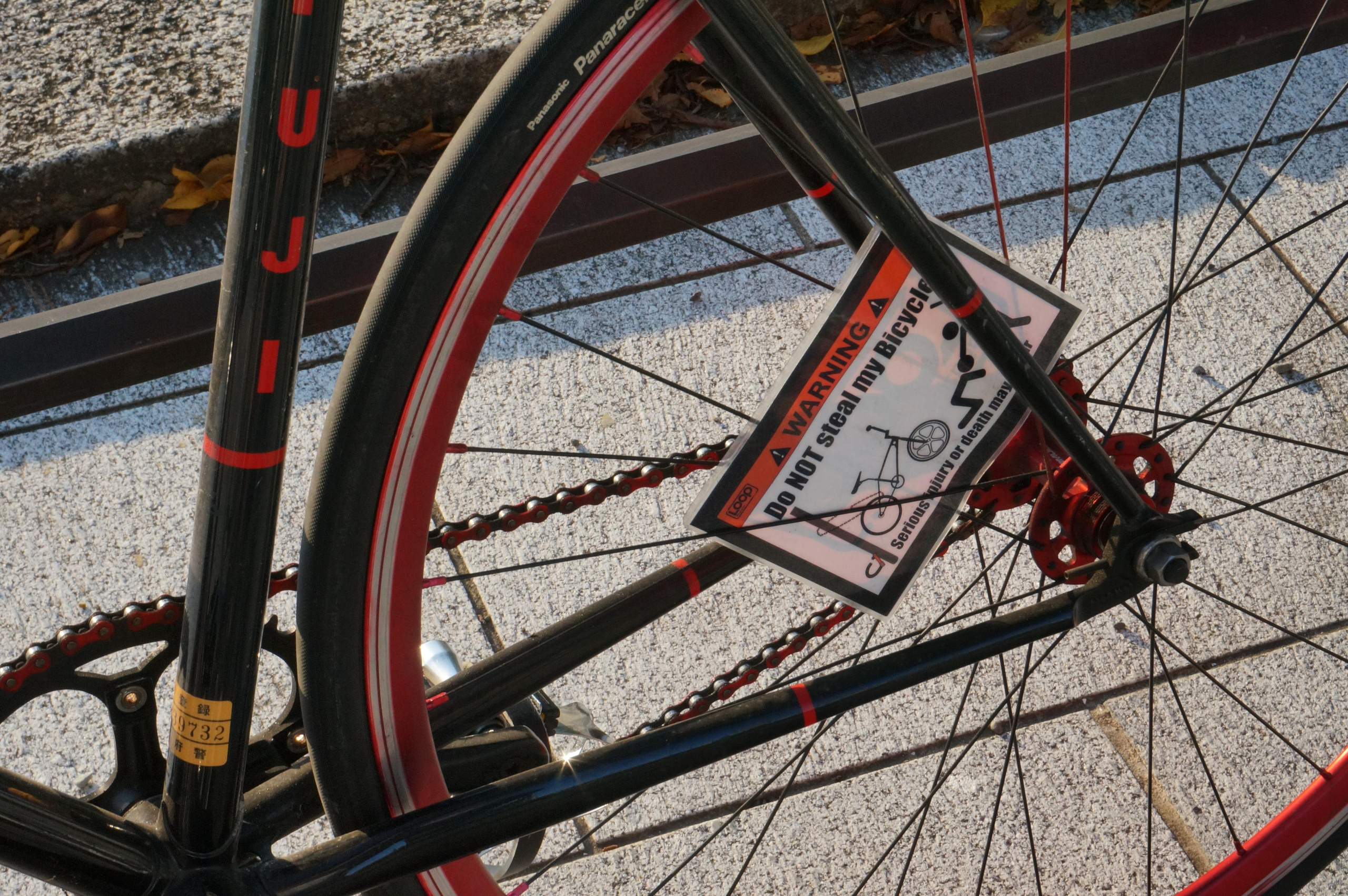 Япония. Токио, Киото. Фотограф в Хабаровске. Фотография за 24 часа