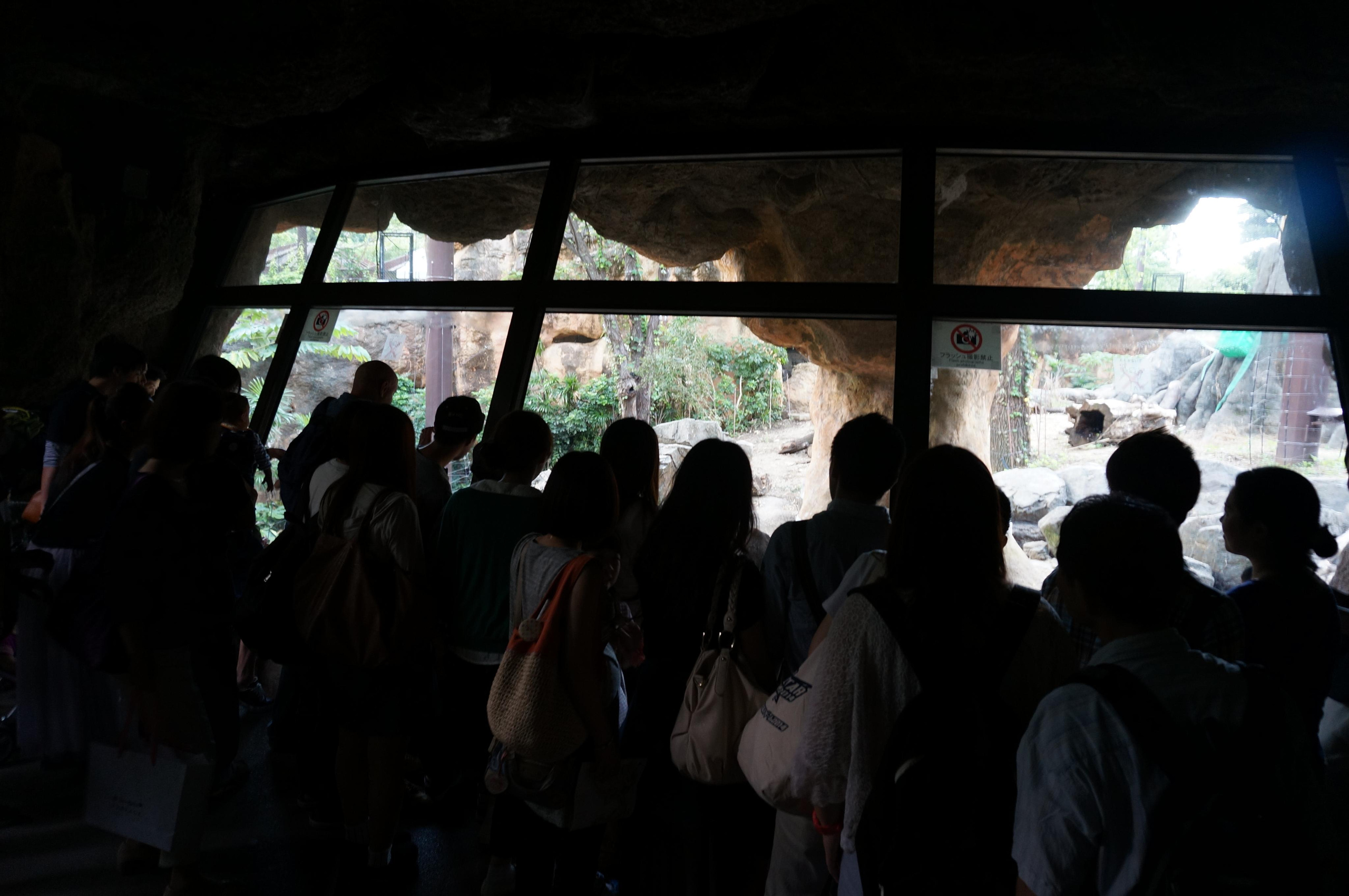 Япония. Токио, Киото. Фотограф в Хабаровске. Фотография за 24 часа