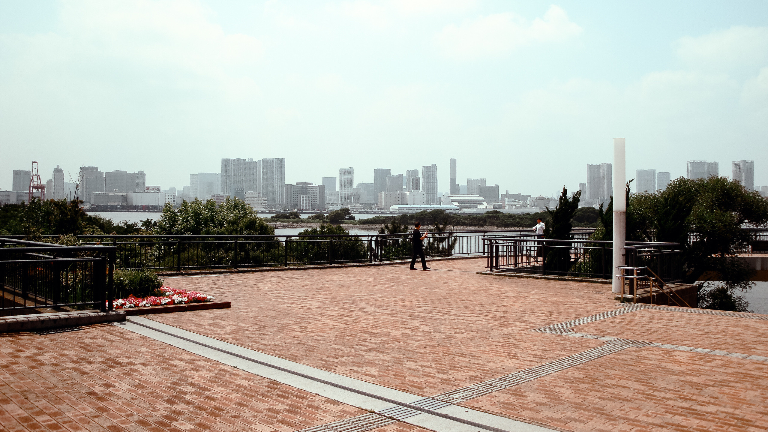 Япония: Токио, Тояма, Ниигата. Фотограф в Хабаровске. Фотография за 24 часа