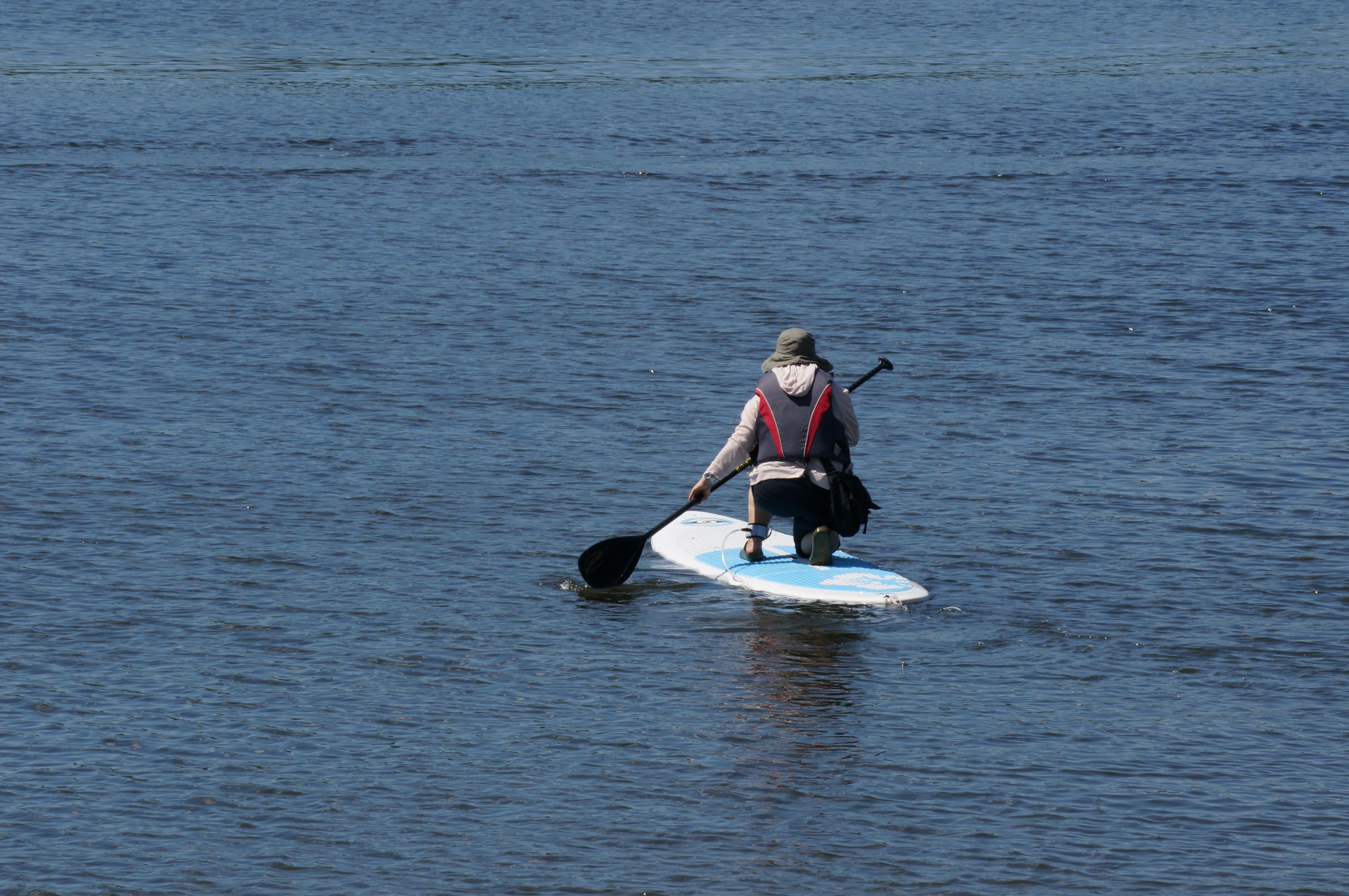 Япония. Токио, Киото. Фотограф в Хабаровске. Фотография за 24 часа