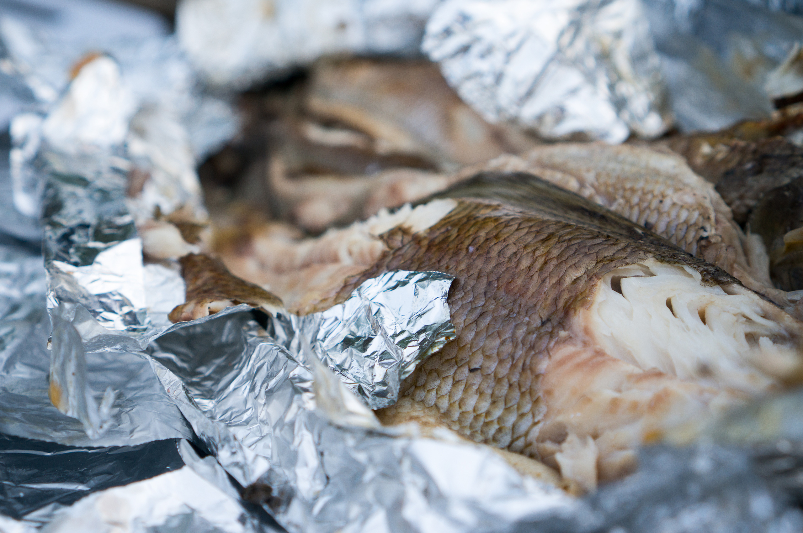 Дуссе-Алинь. Фотограф в Хабаровске. Фотография за 24 часа