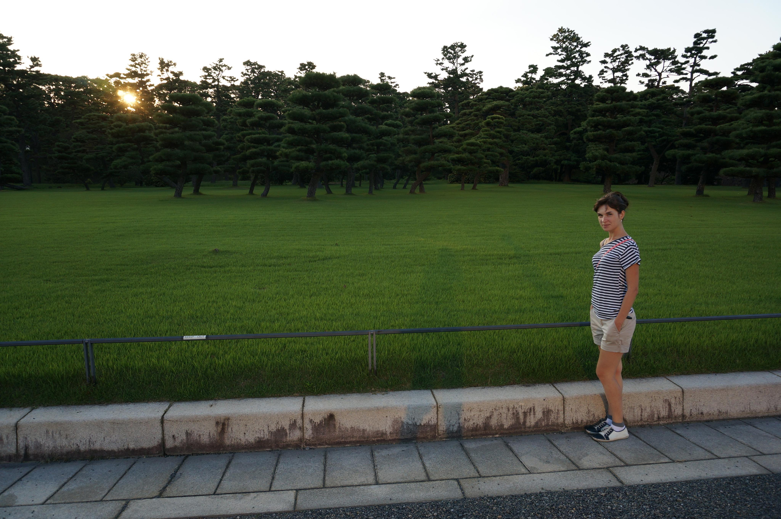 Япония. Токио, Киото. Фотограф в Хабаровске. Фотография за 24 часа