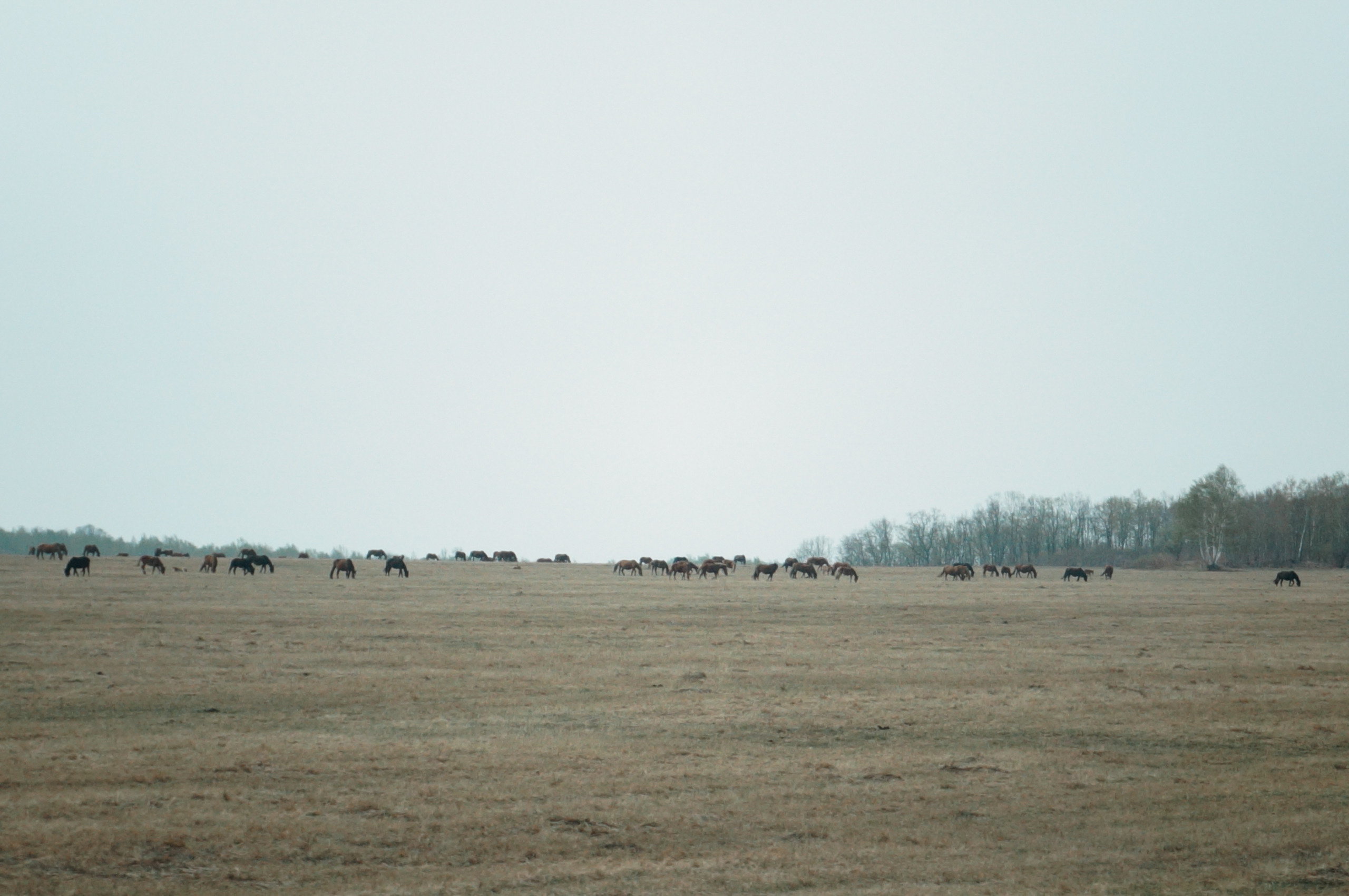 Хабаровск-Чита. Фотограф в Хабаровске. Фотография за 24 часа